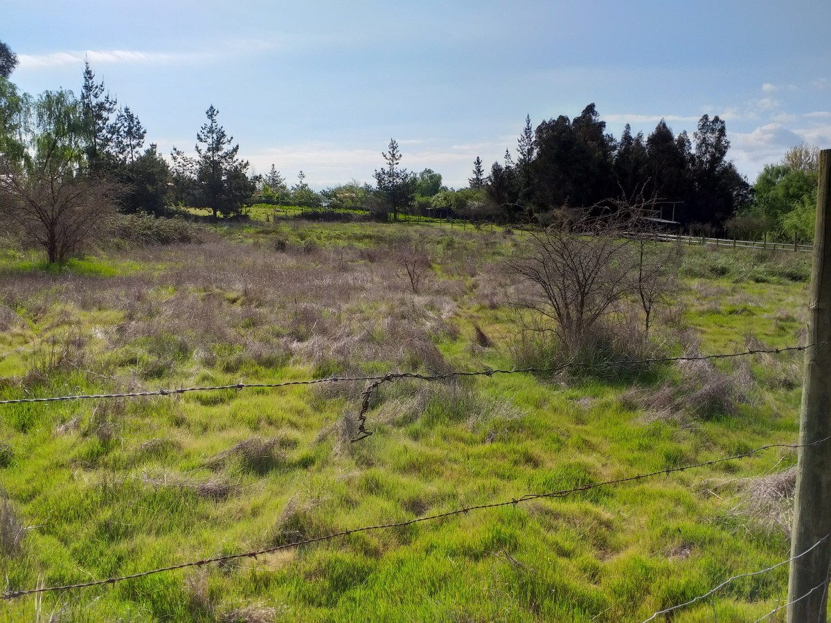 foto Terreno 5.000 M2. 4