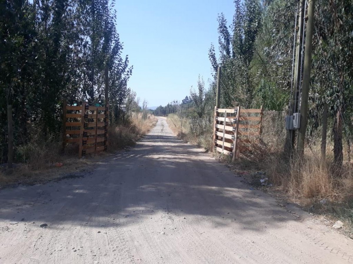 foto Terreno 5.000 M2. 1