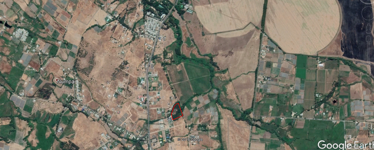 foto Terreno de 10.000 M2 7