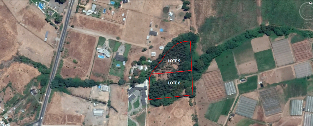 foto Terreno de 10.000 M2 4