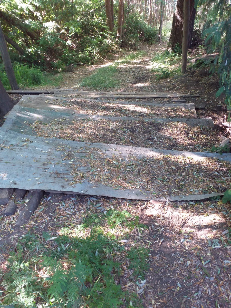 foto Terreno de 10.000 M2 2