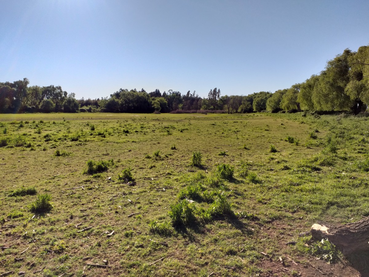 foto Parcela 23.90 has. 10