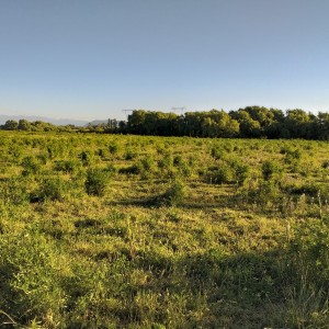 Parcela 9.6 hectáreas.