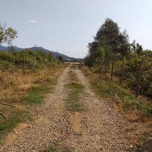Parcela de Agrado
