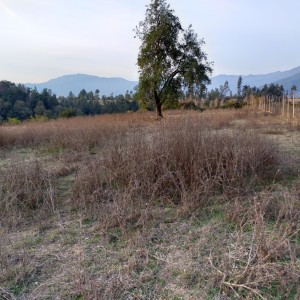 Parcela de Agrado