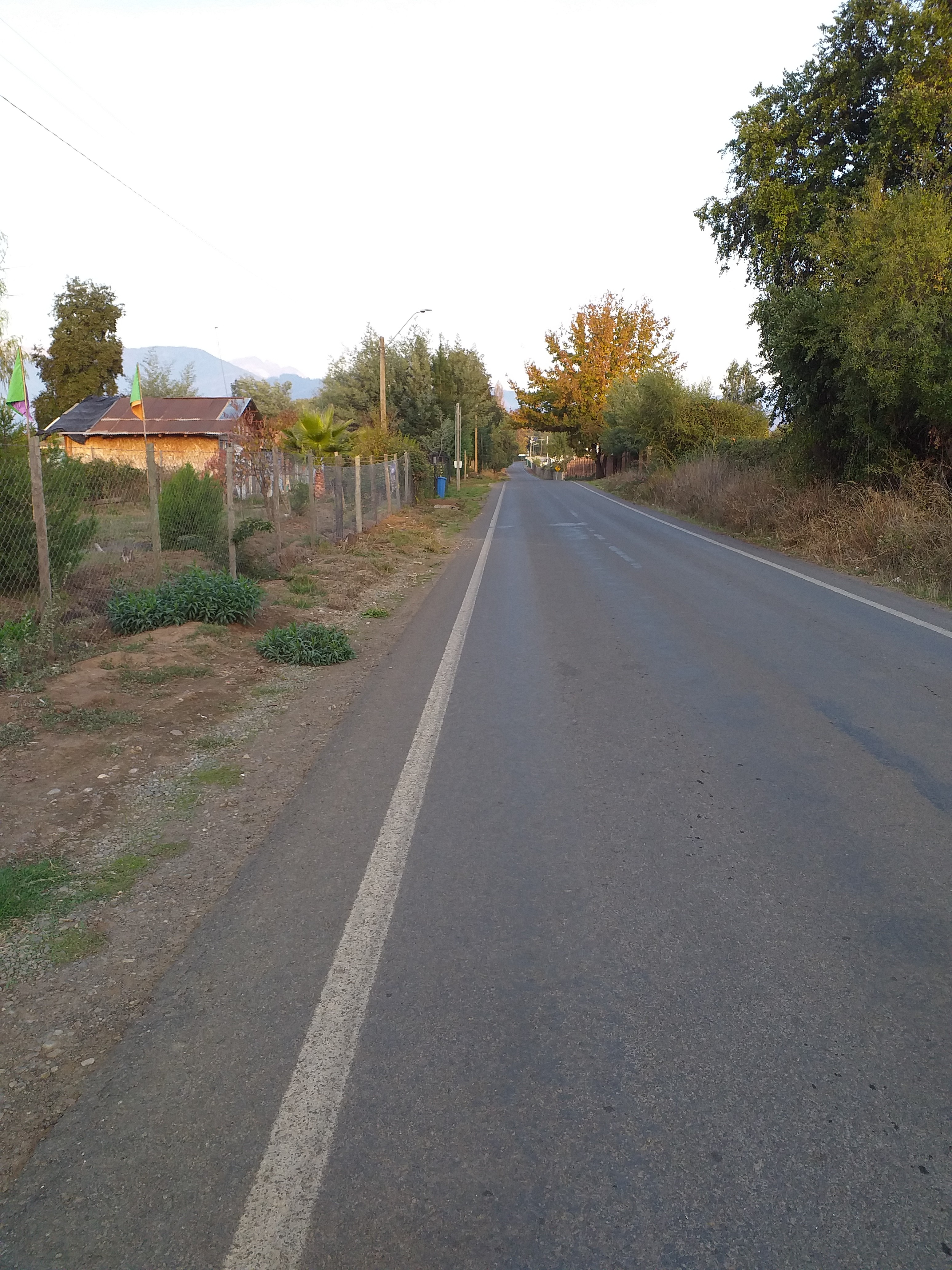 foto Parcela de Agrado 3