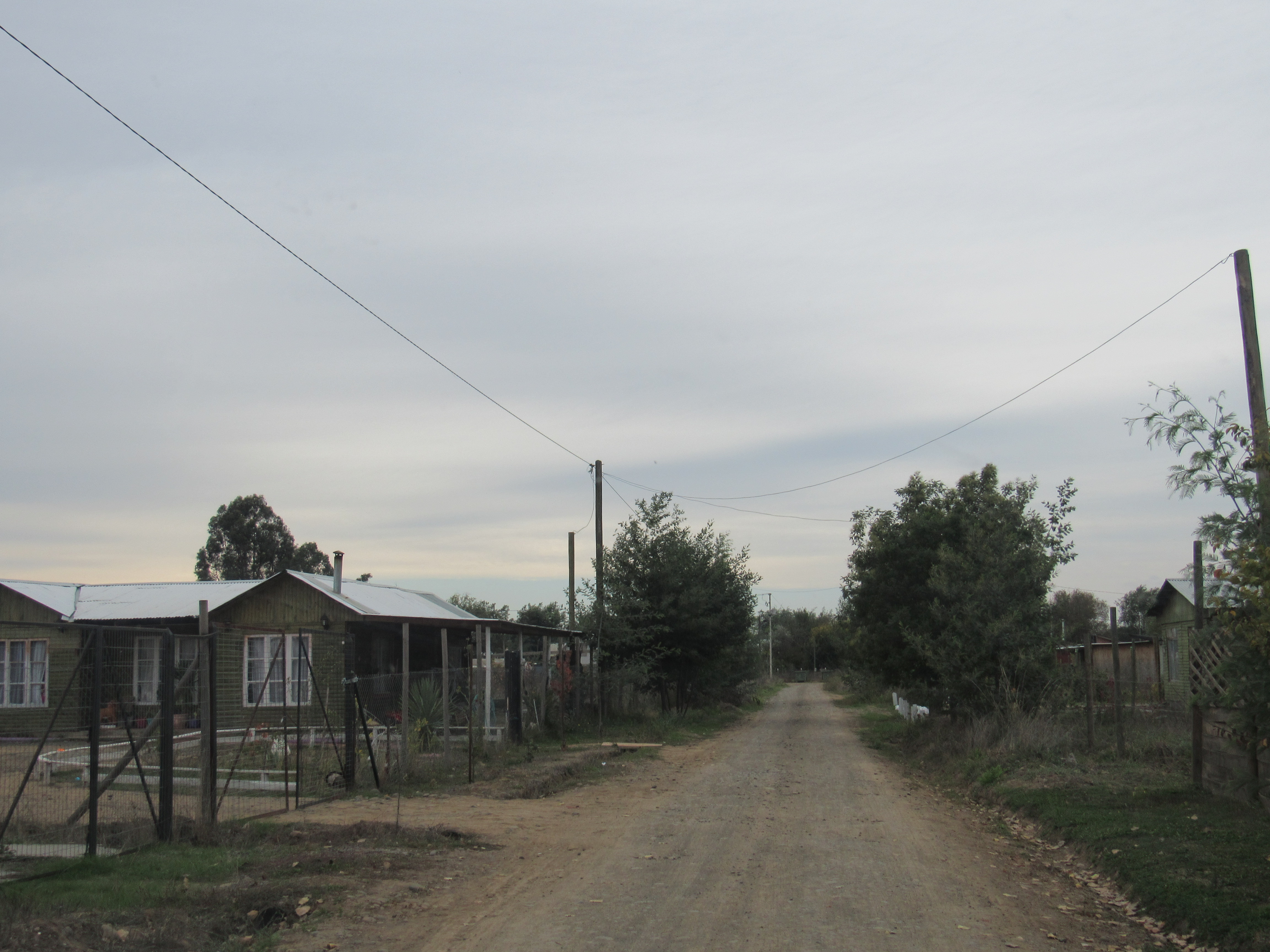 foto Terreno 6.500 M2 4