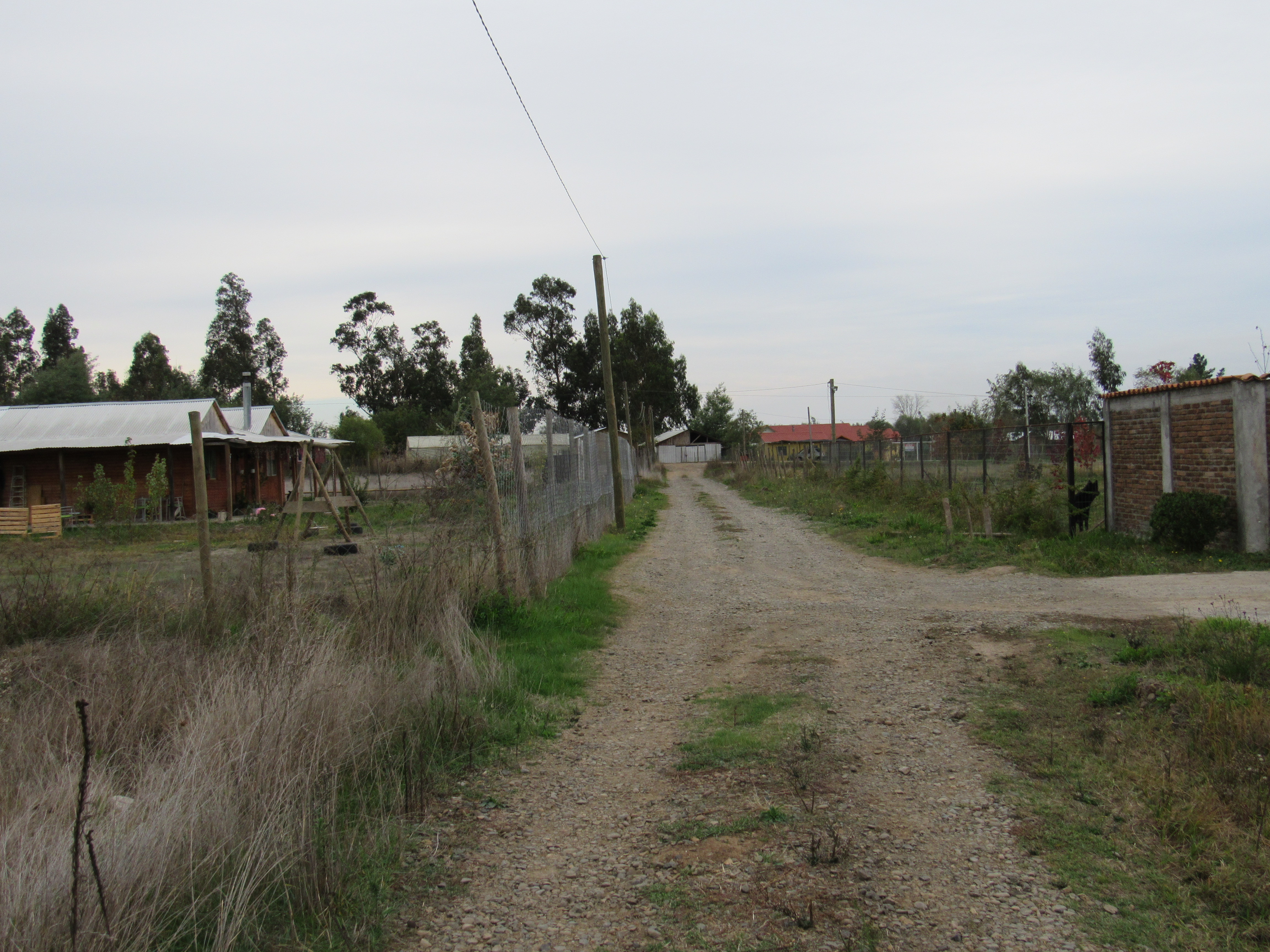 foto Terreno 6.500 M2 7