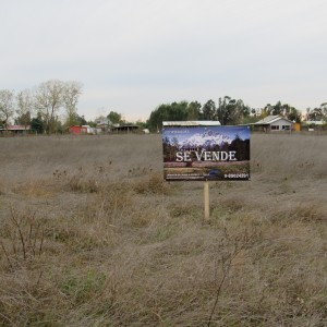 Terreno 6.500 M2