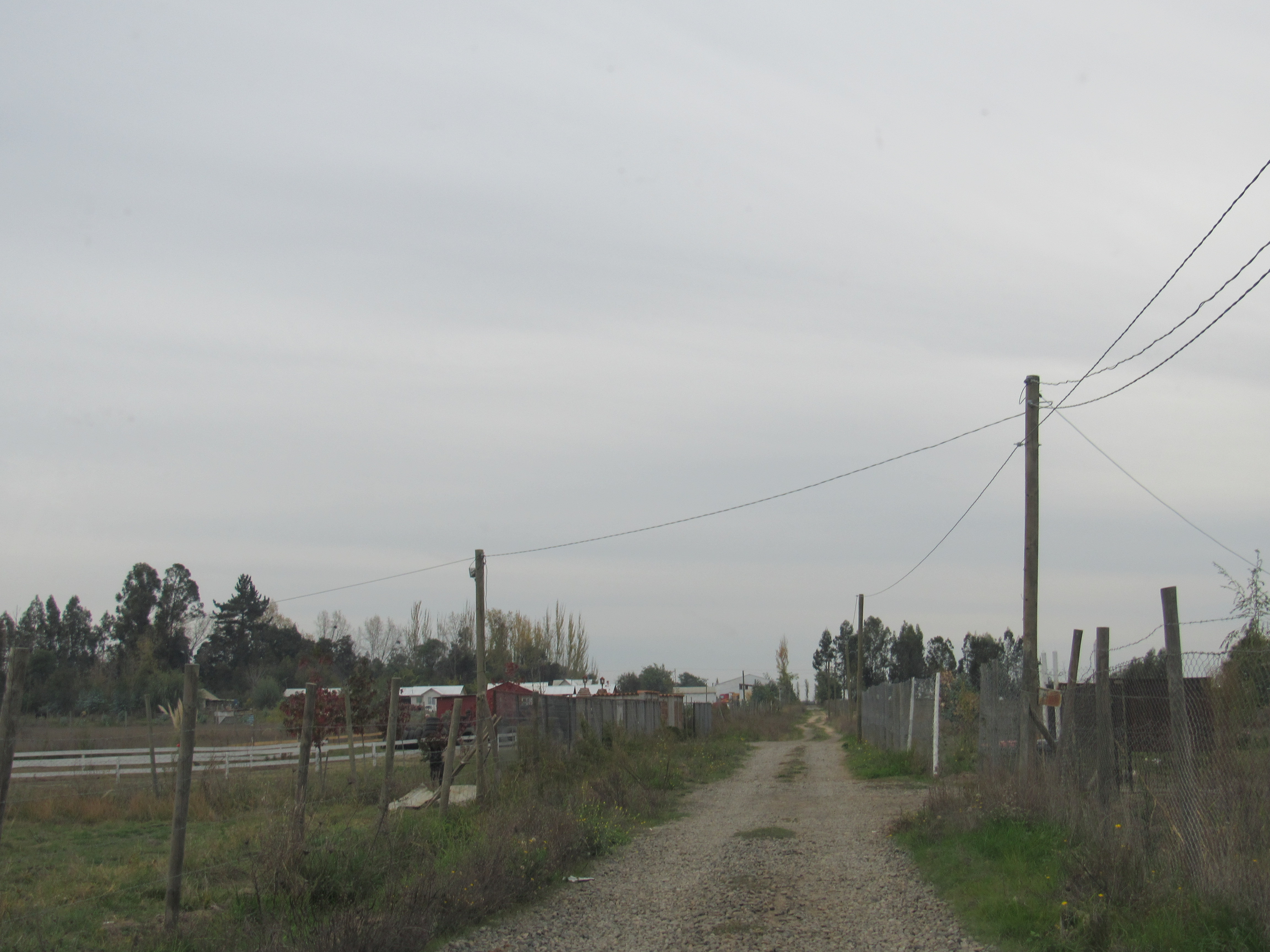 foto Terreno 6.500 M2 2