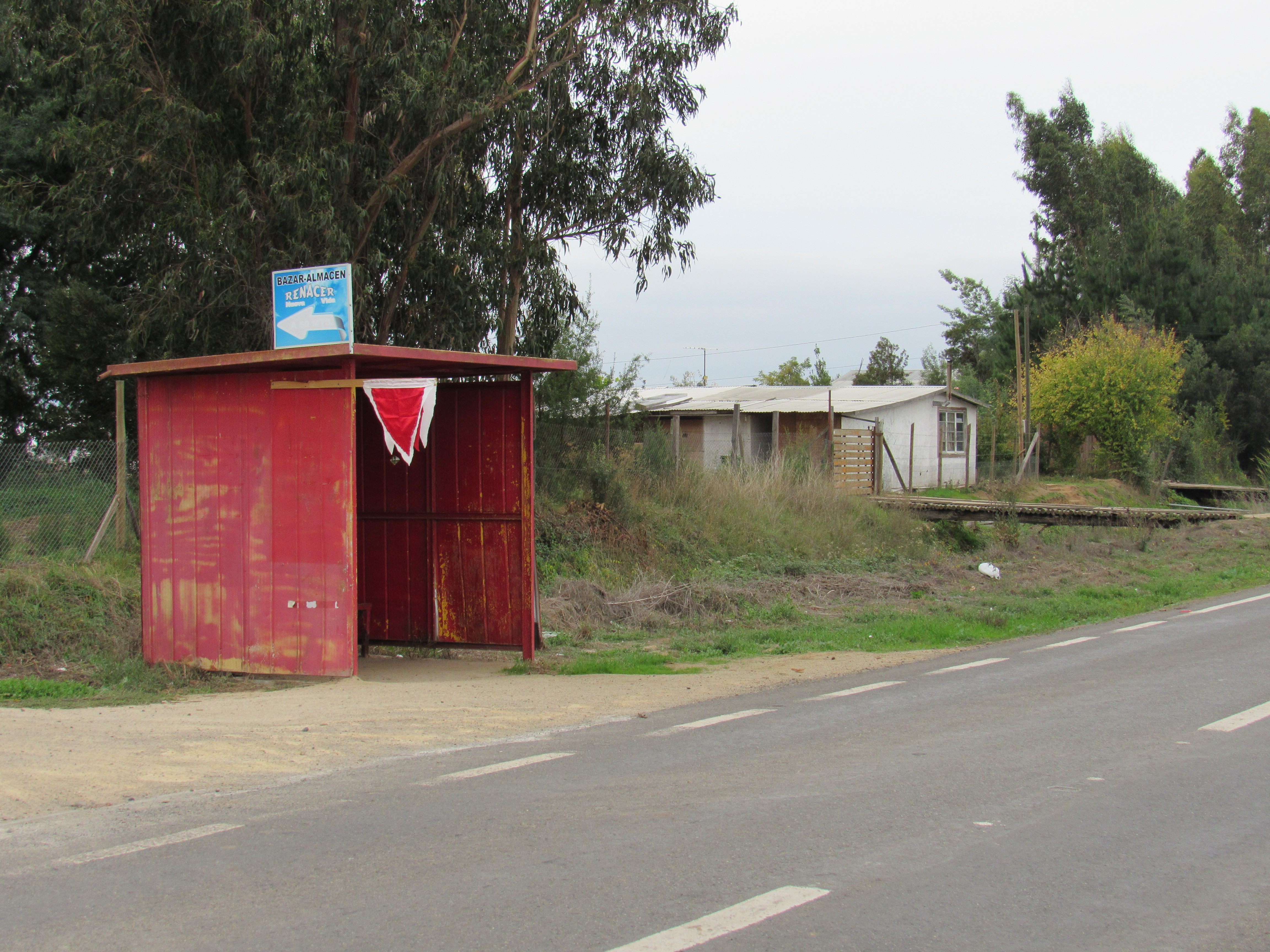foto Terreno 6.500 M2 9
