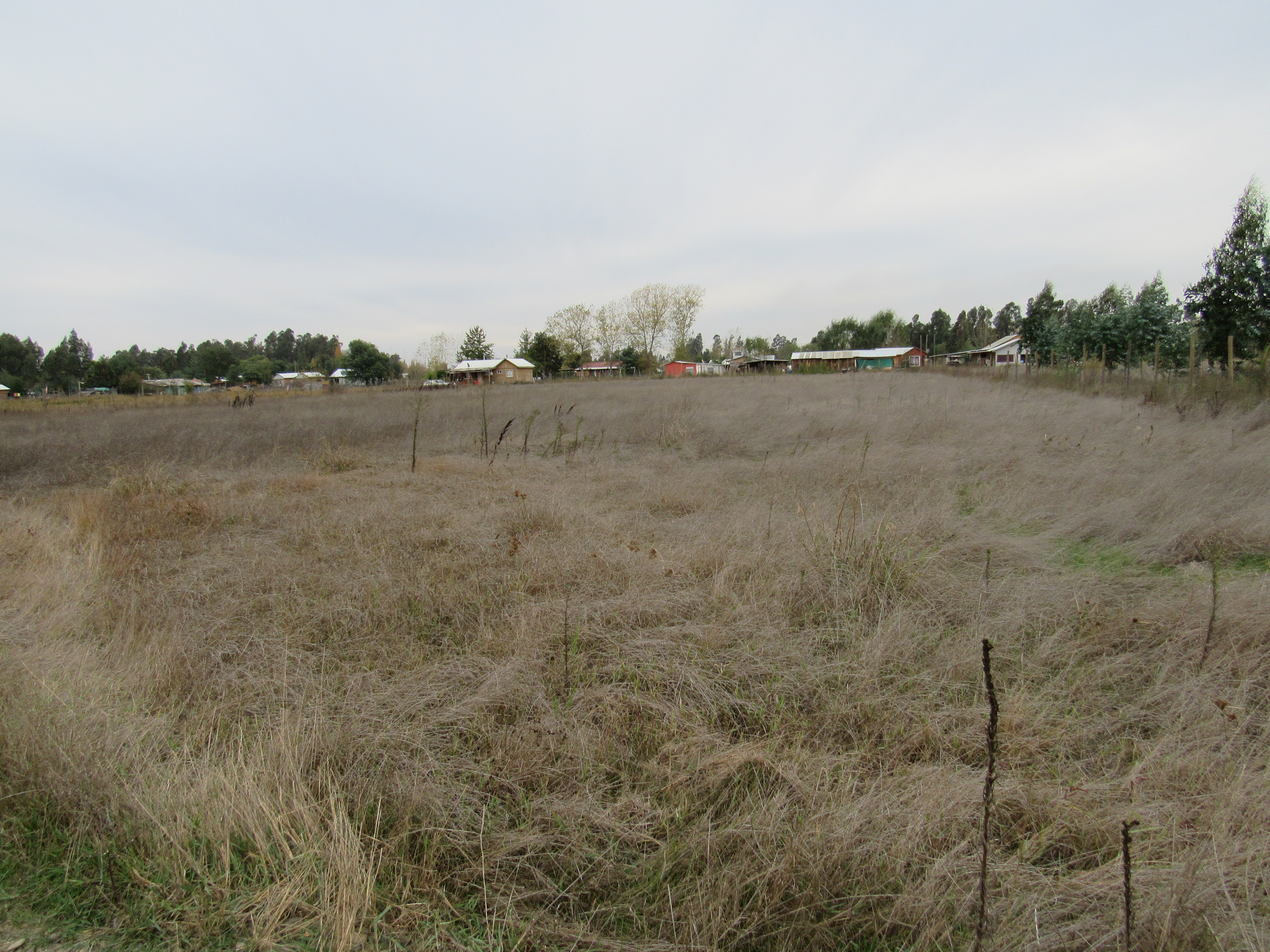 foto Terreno 6.500 M2 11