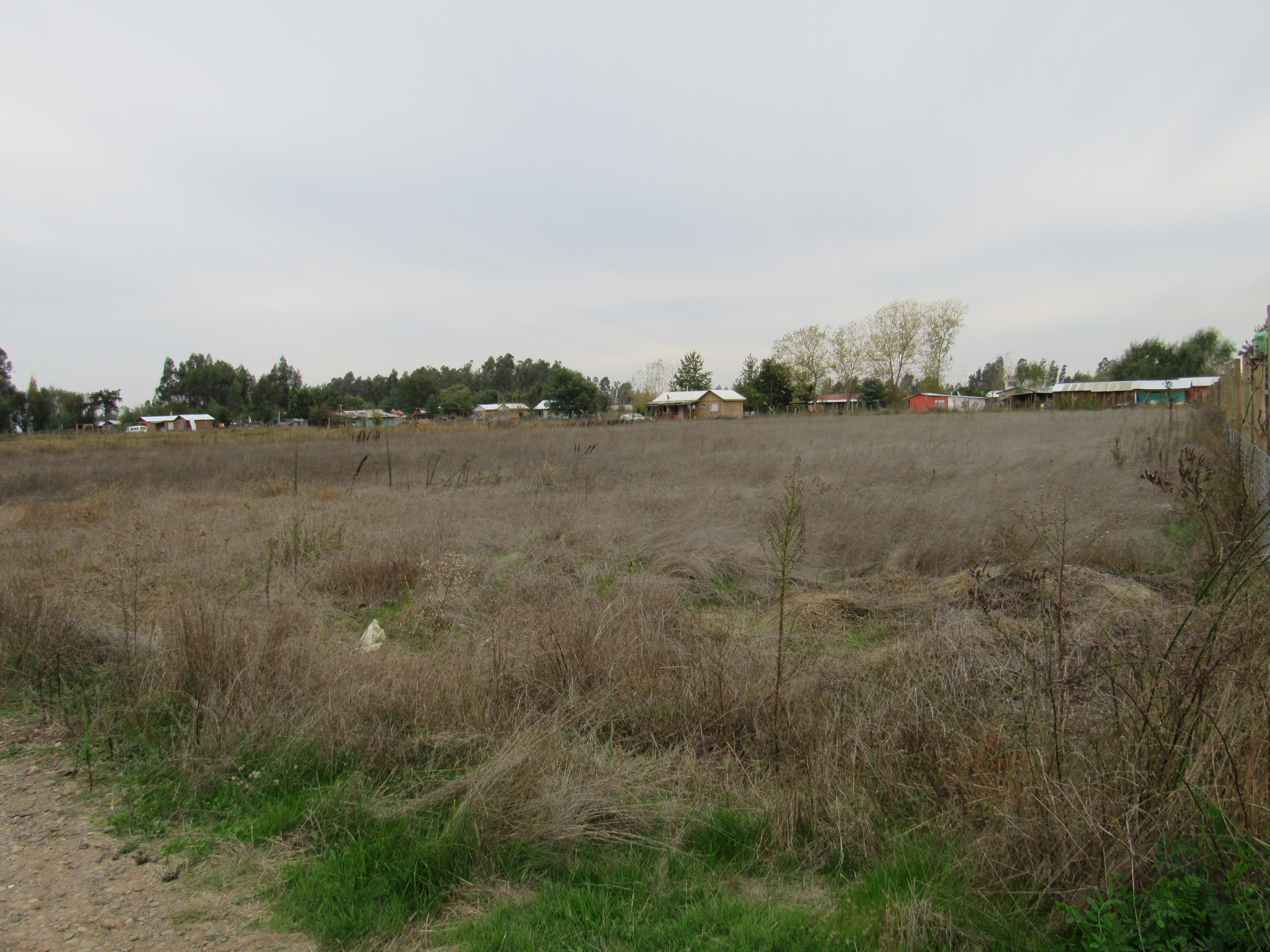foto Terreno 6.500 M2 8