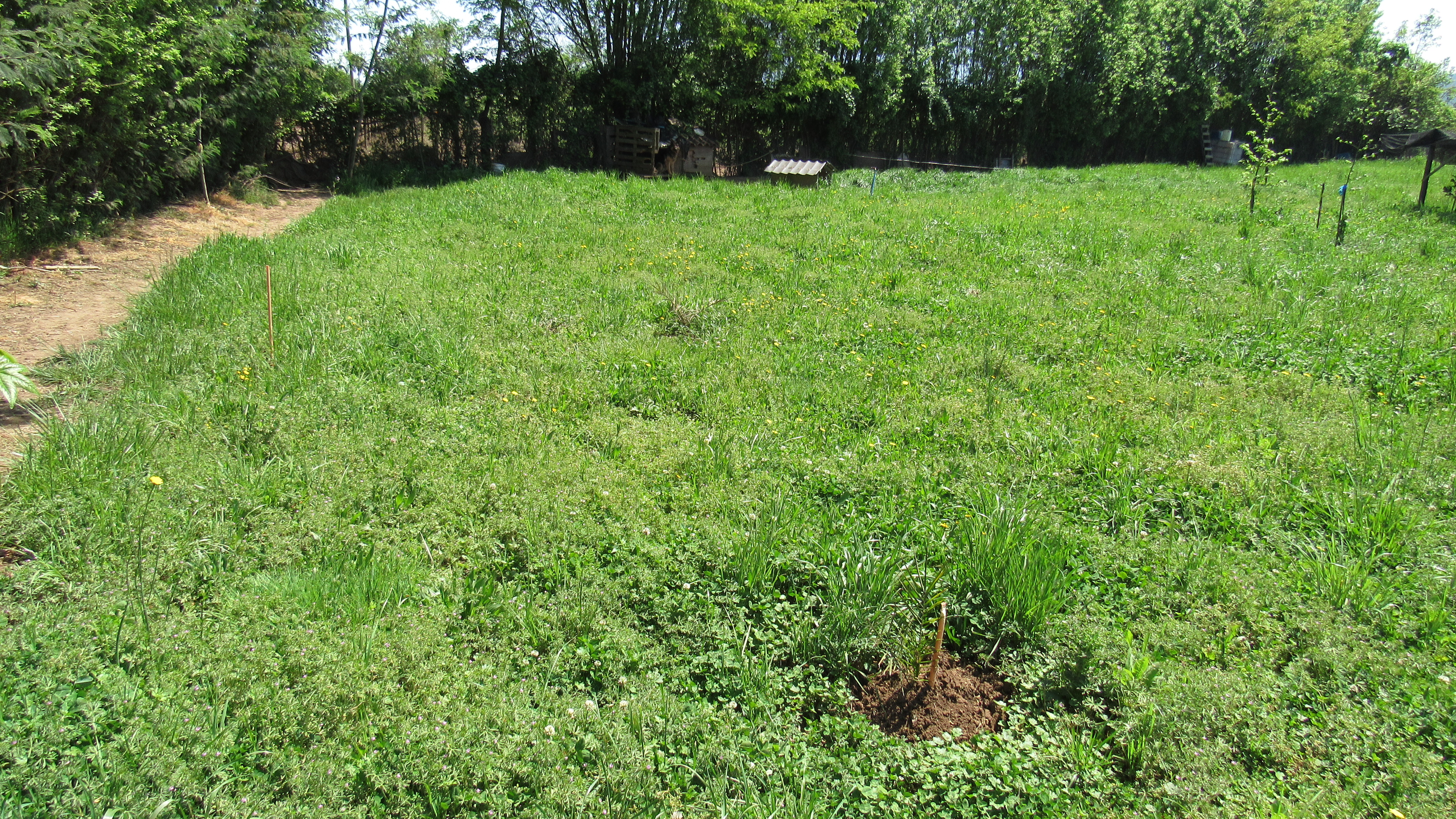 foto Terreno 2.500 M2 con casa. 18