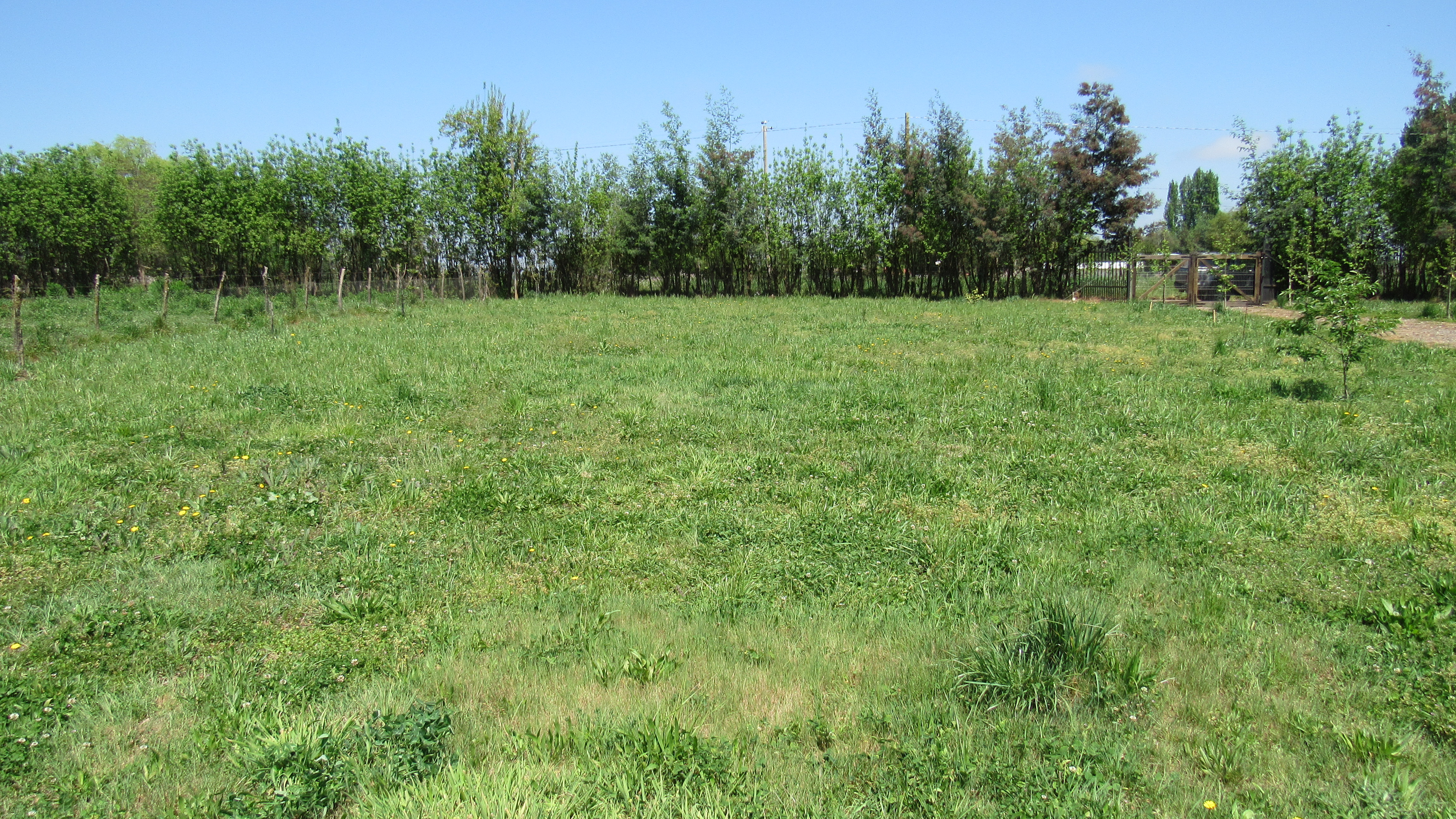 foto Terreno 2.500 M2 con casa. 16