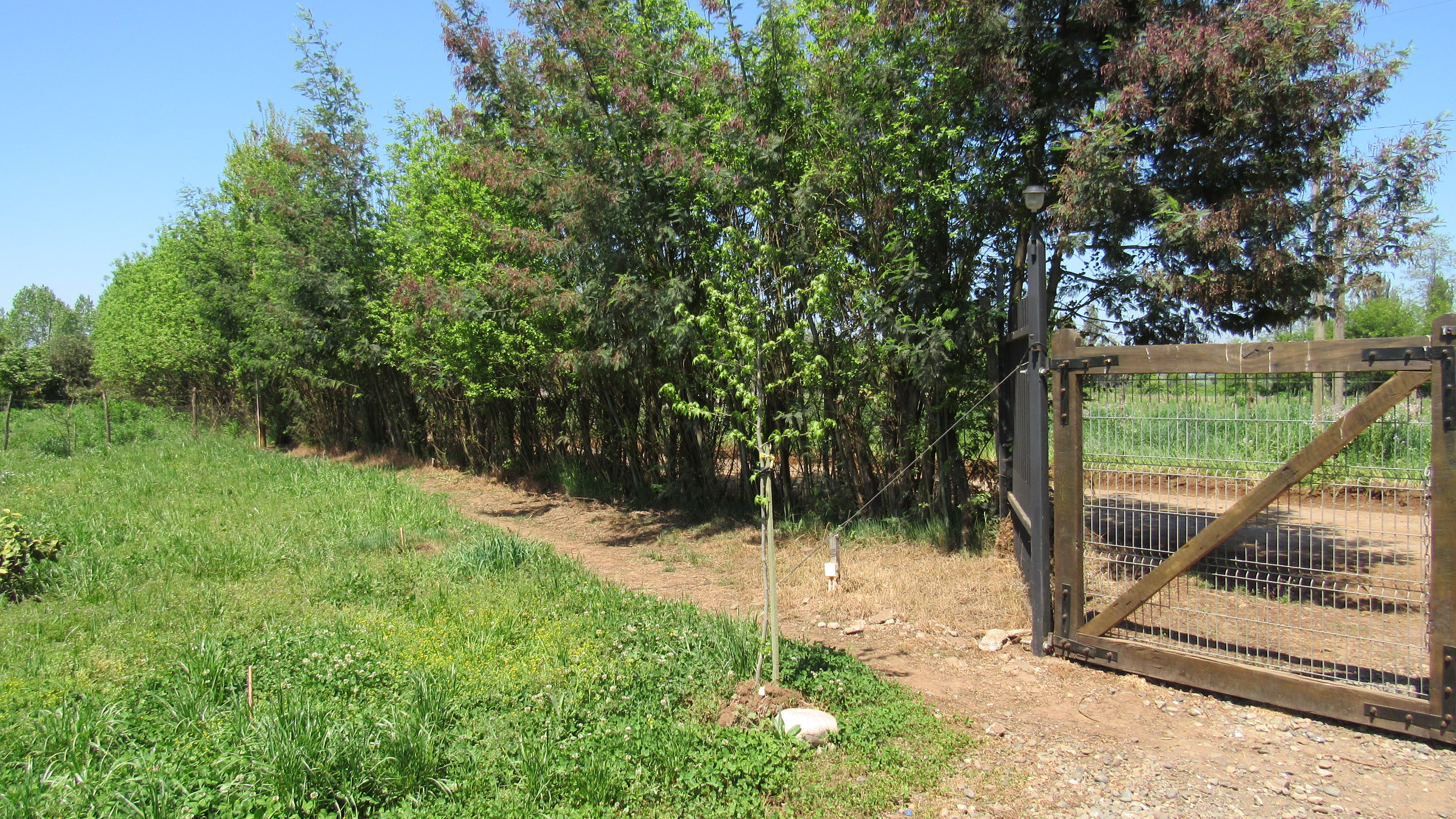 foto Terreno 2.500 M2 con casa. 17
