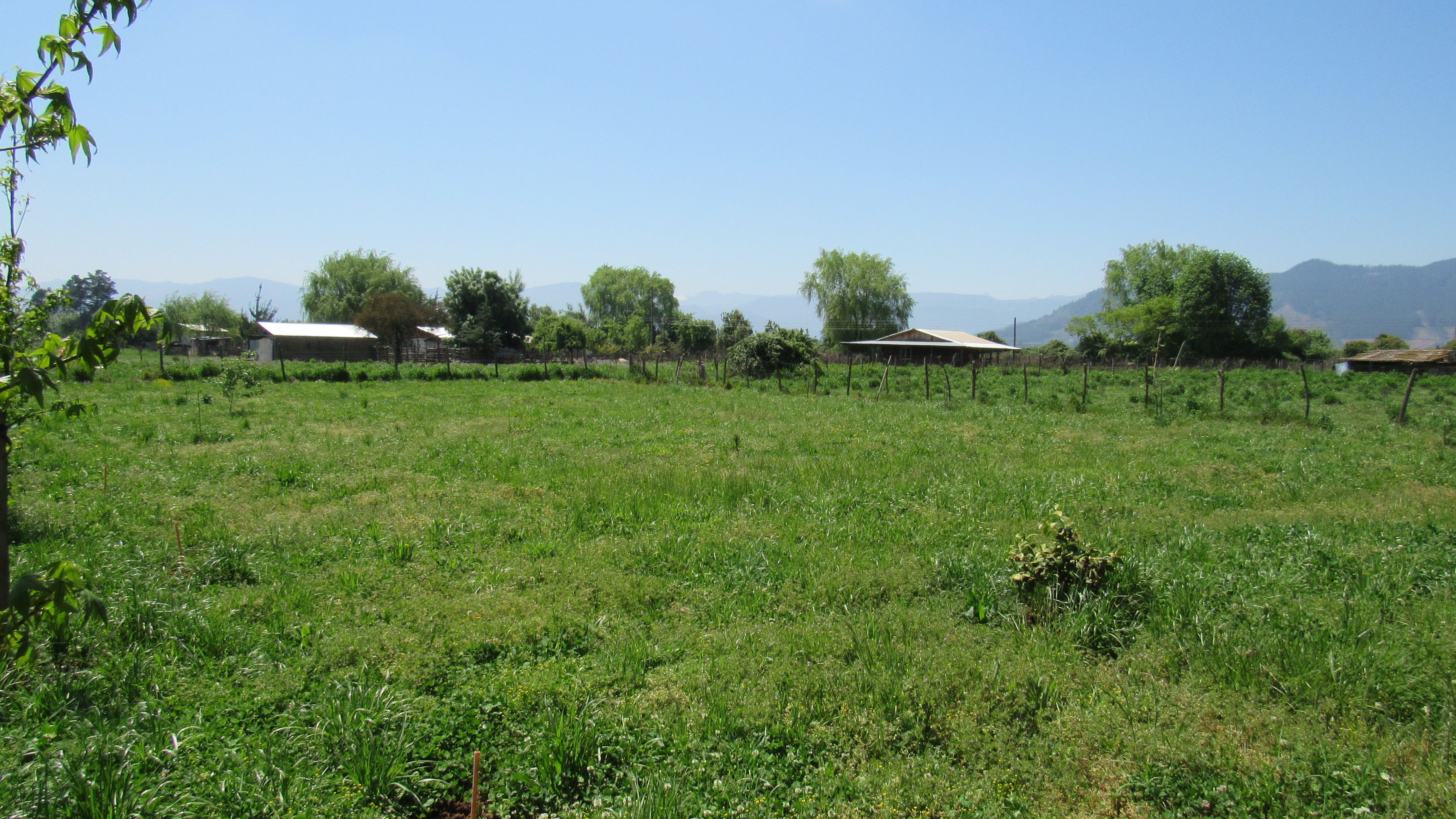 foto Terreno 2.500 M2 con casa. 11