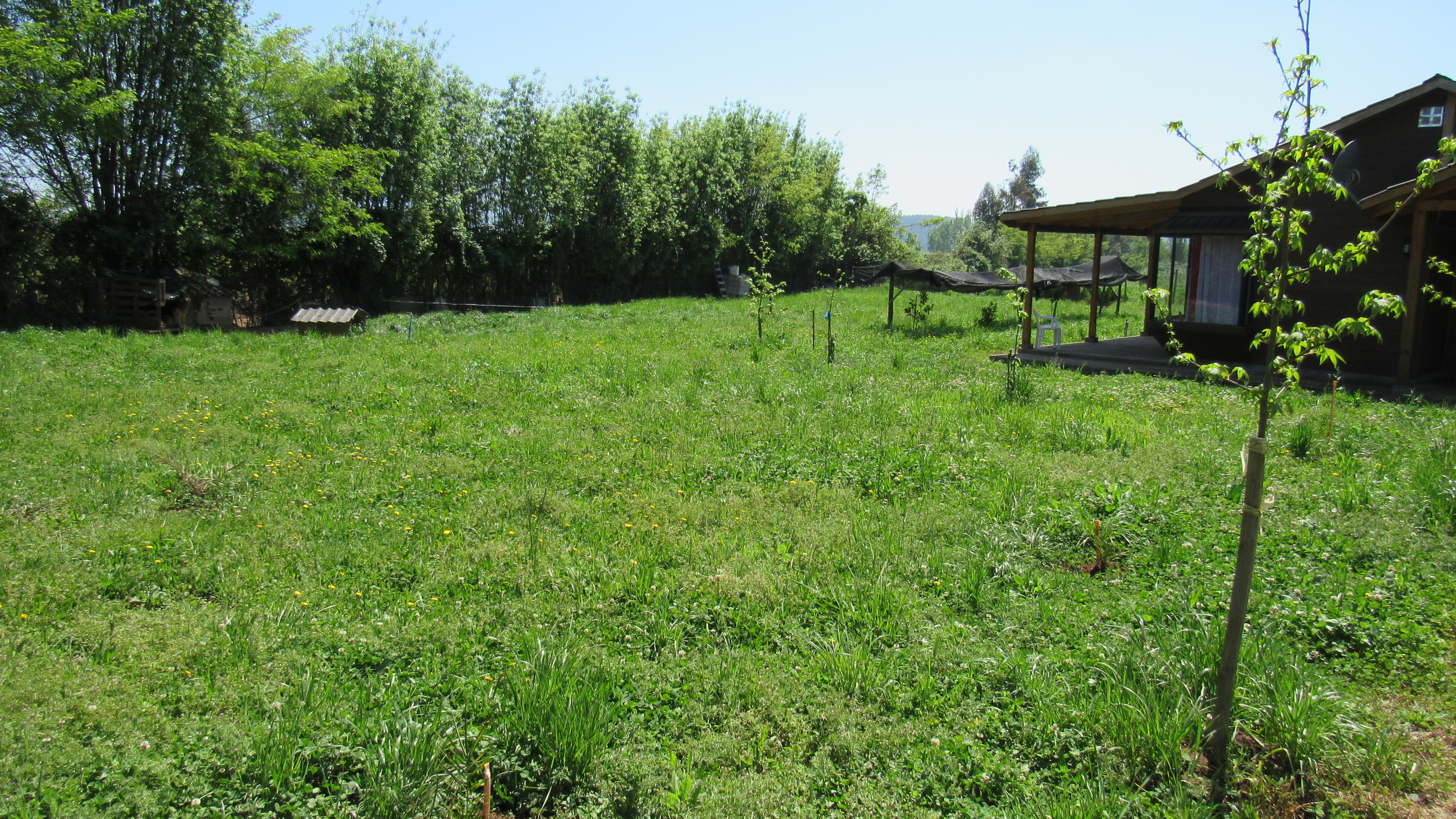 foto Terreno 2.500 M2 con casa. 15
