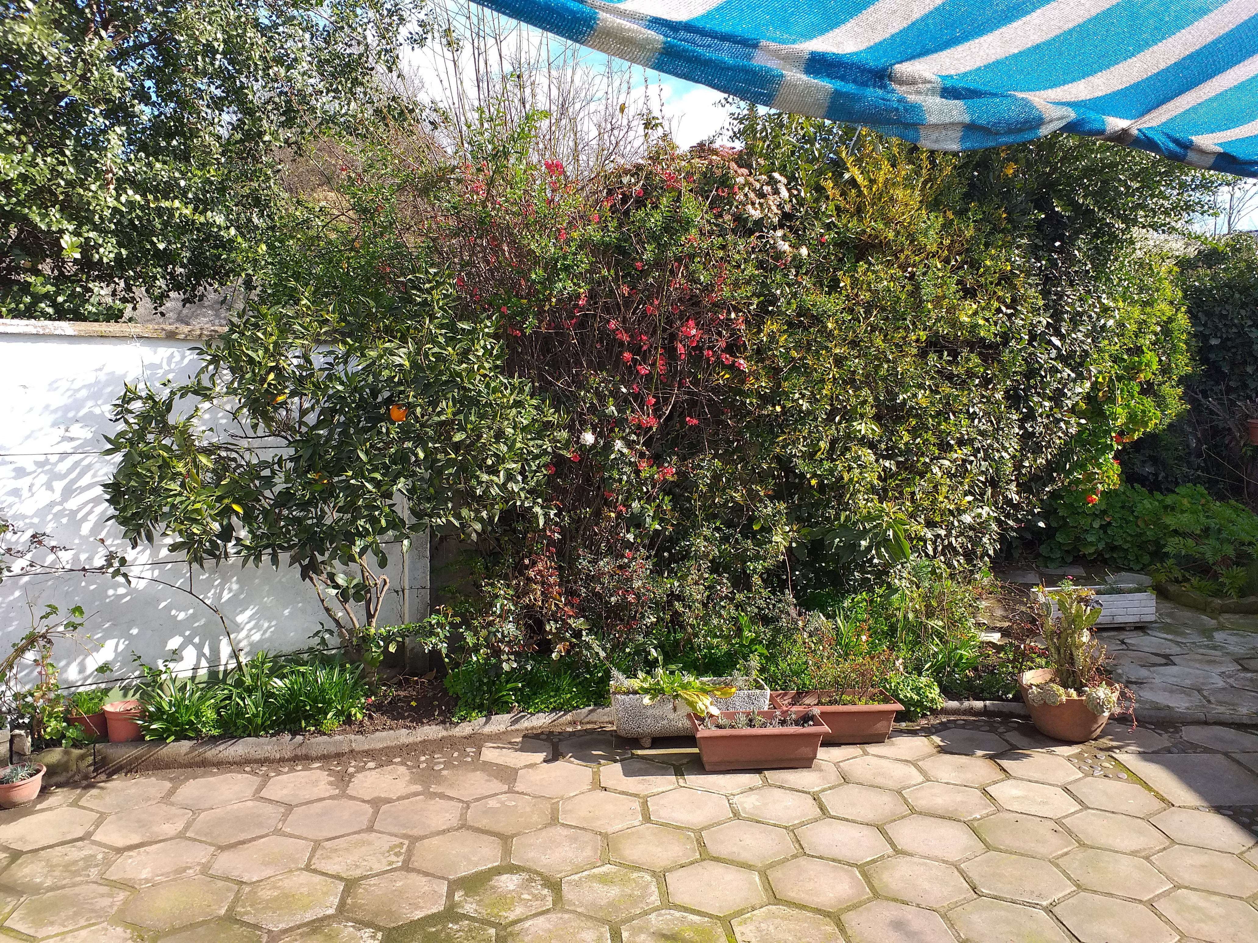 foto Casa Venta 21