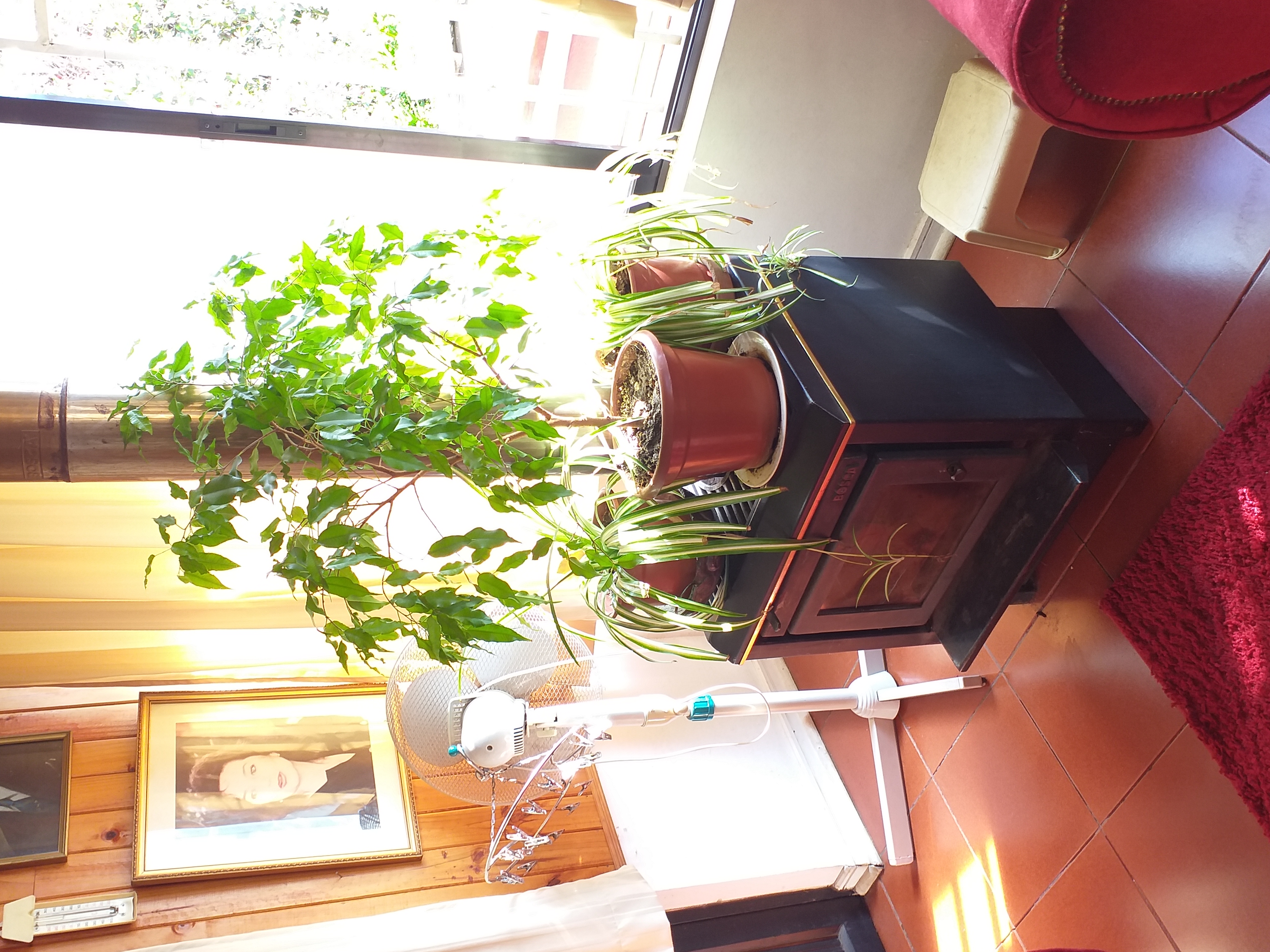 foto Casa Venta 5