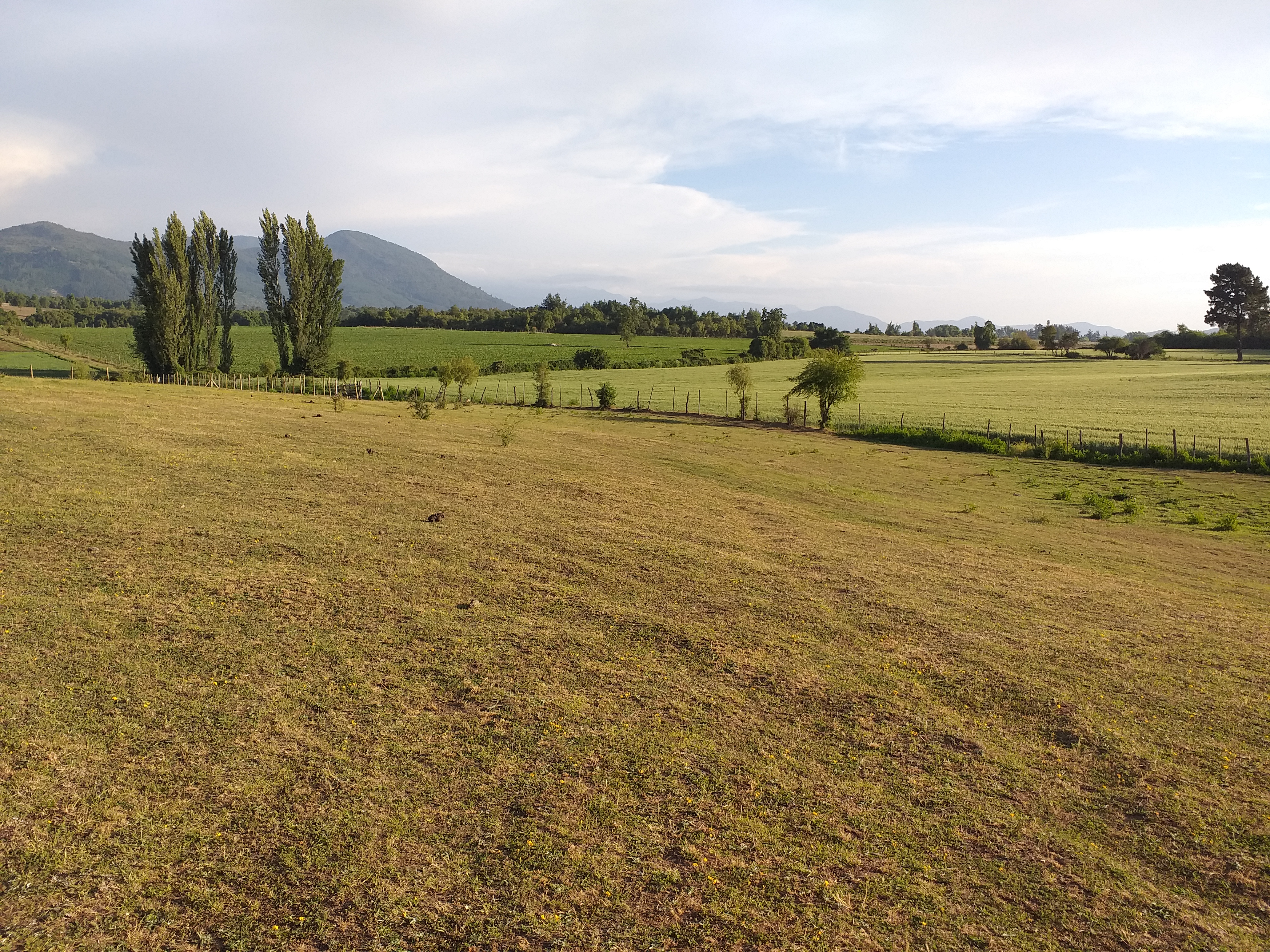 foto Parcela Ecologica. 5