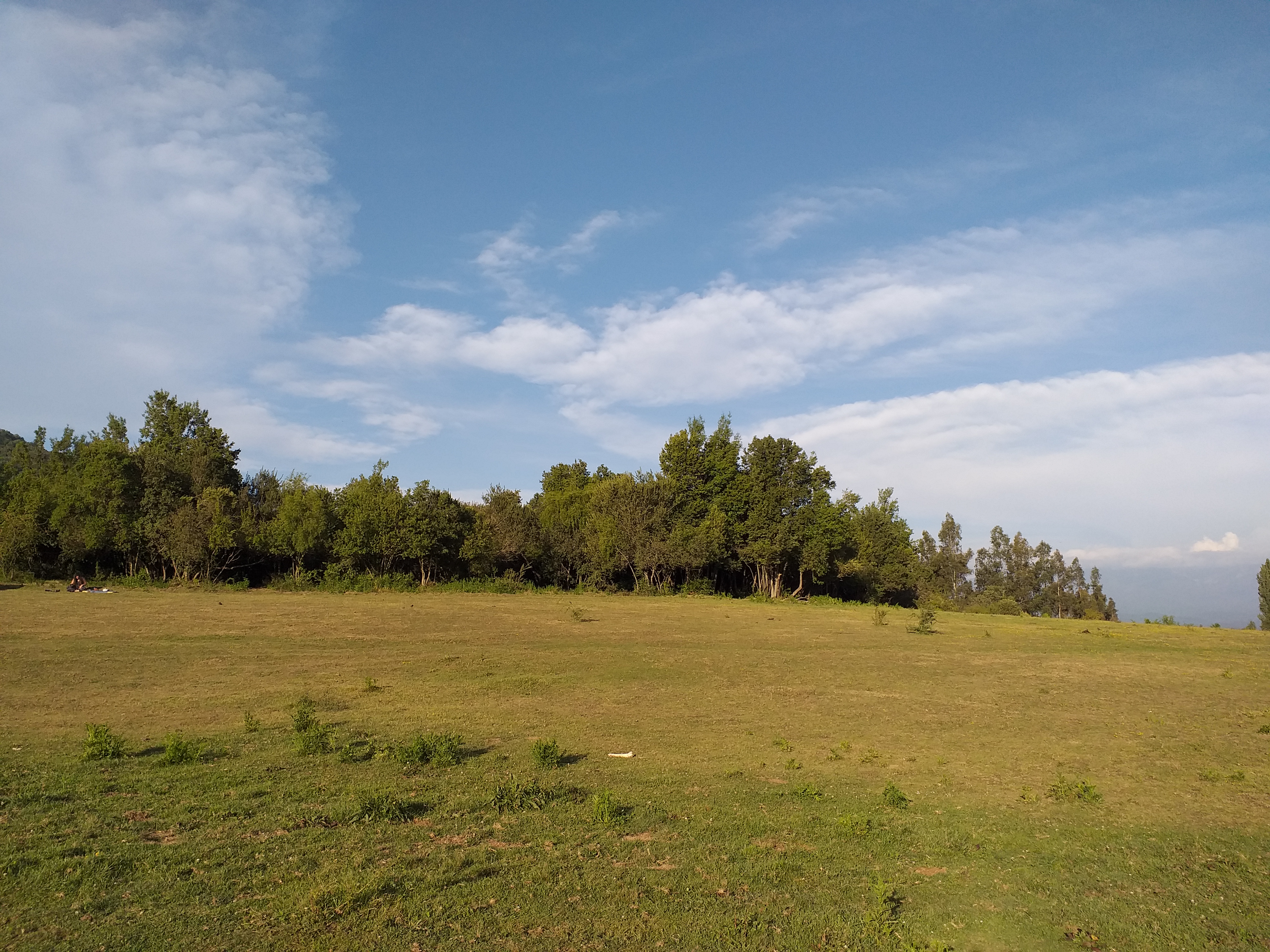 foto Parcela Ecologica. 1