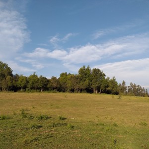 Parcela Ecologica.