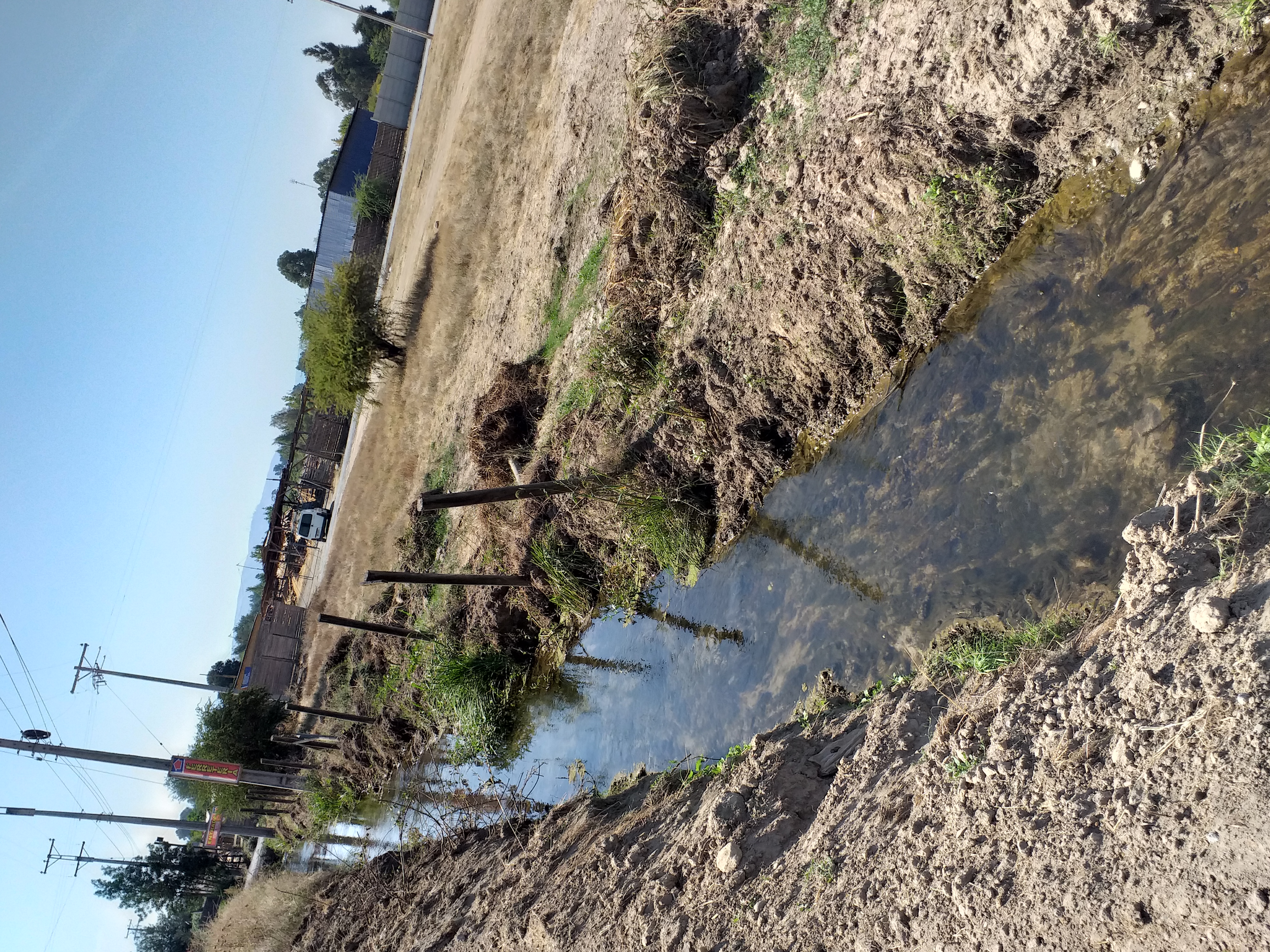 foto Terreno 10