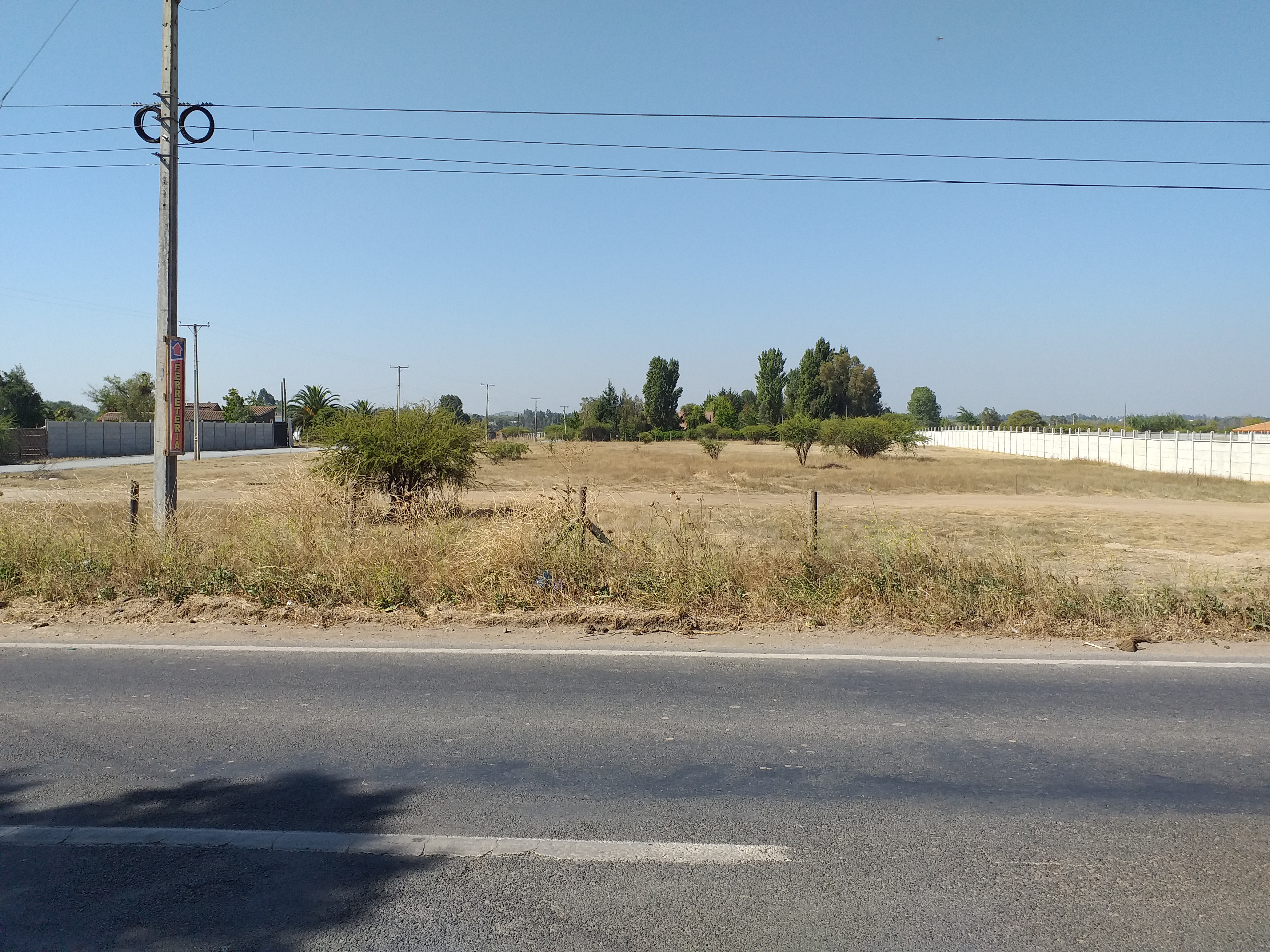 foto Terreno 8