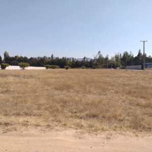 Terreno