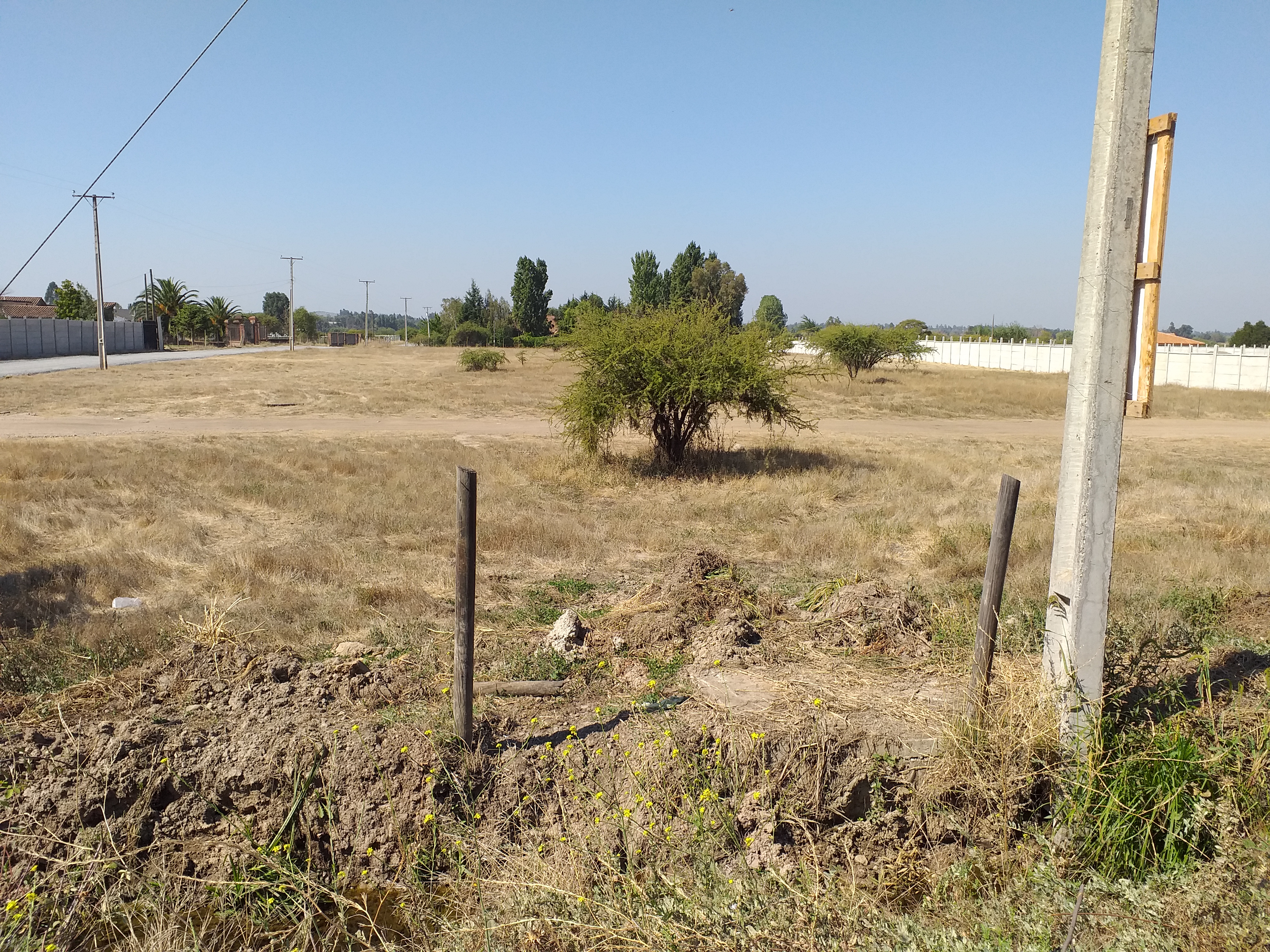 foto Terreno 11
