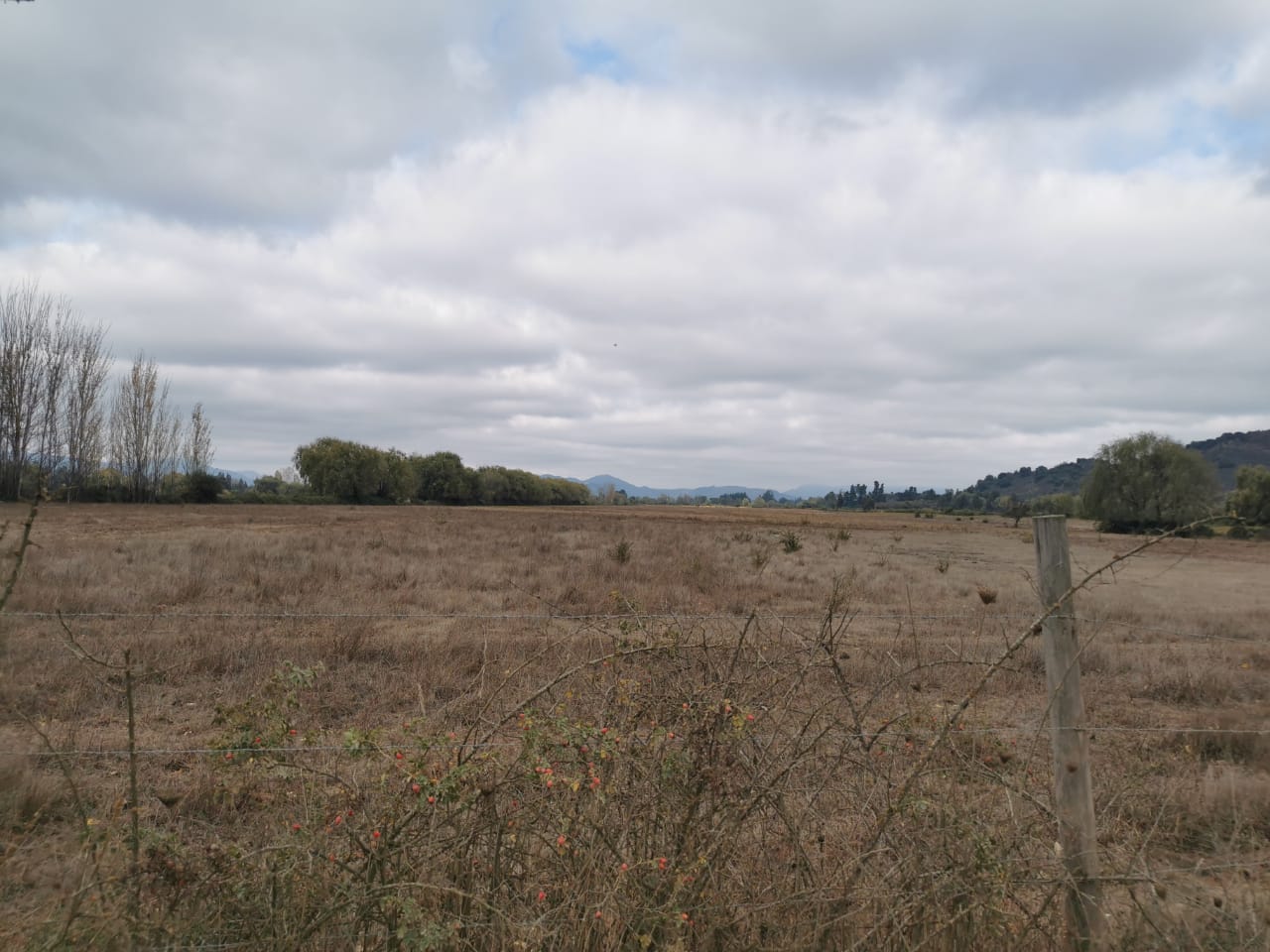 foto Parcela 3