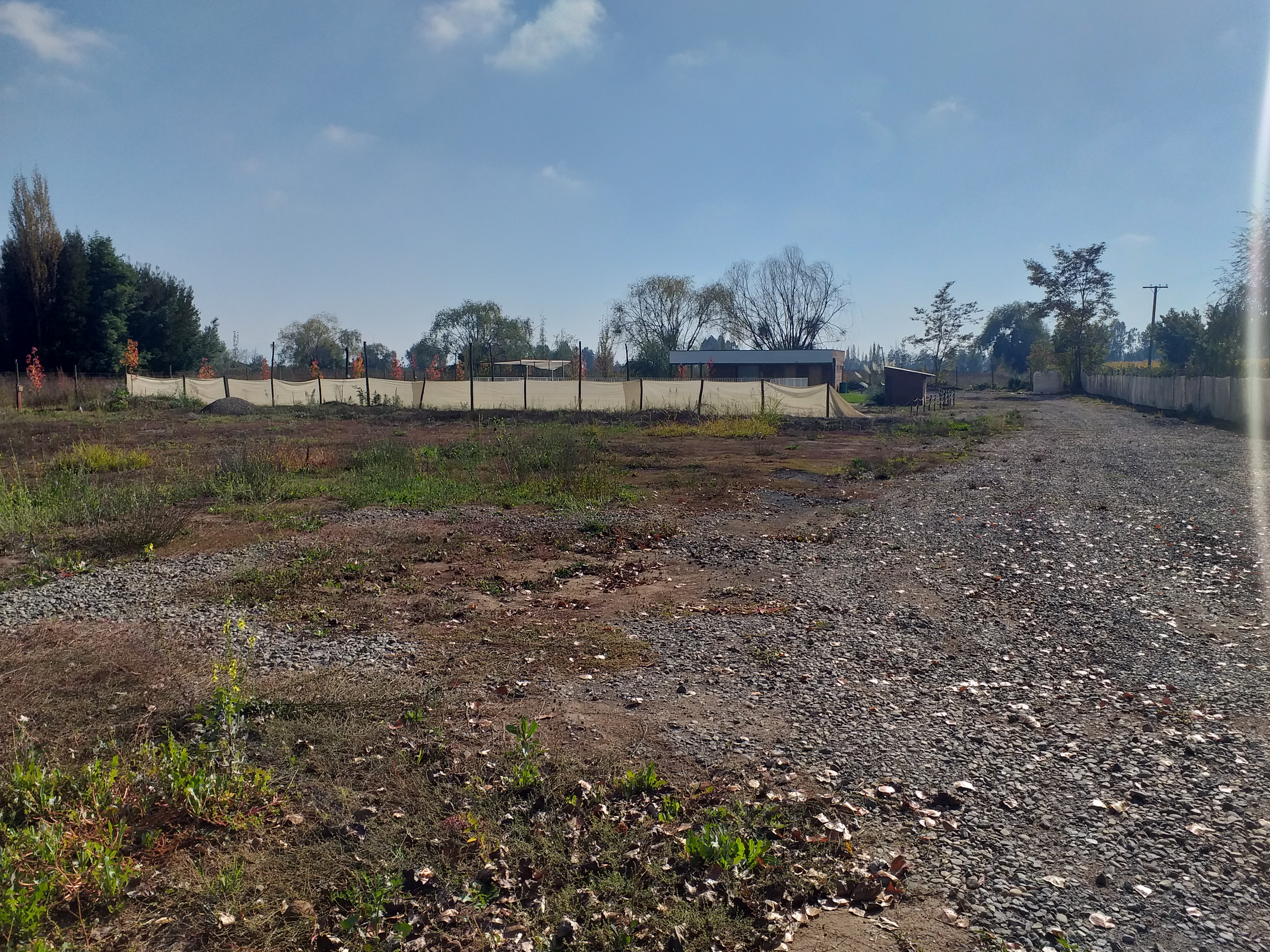 foto Terreno 5.000 M2. 19