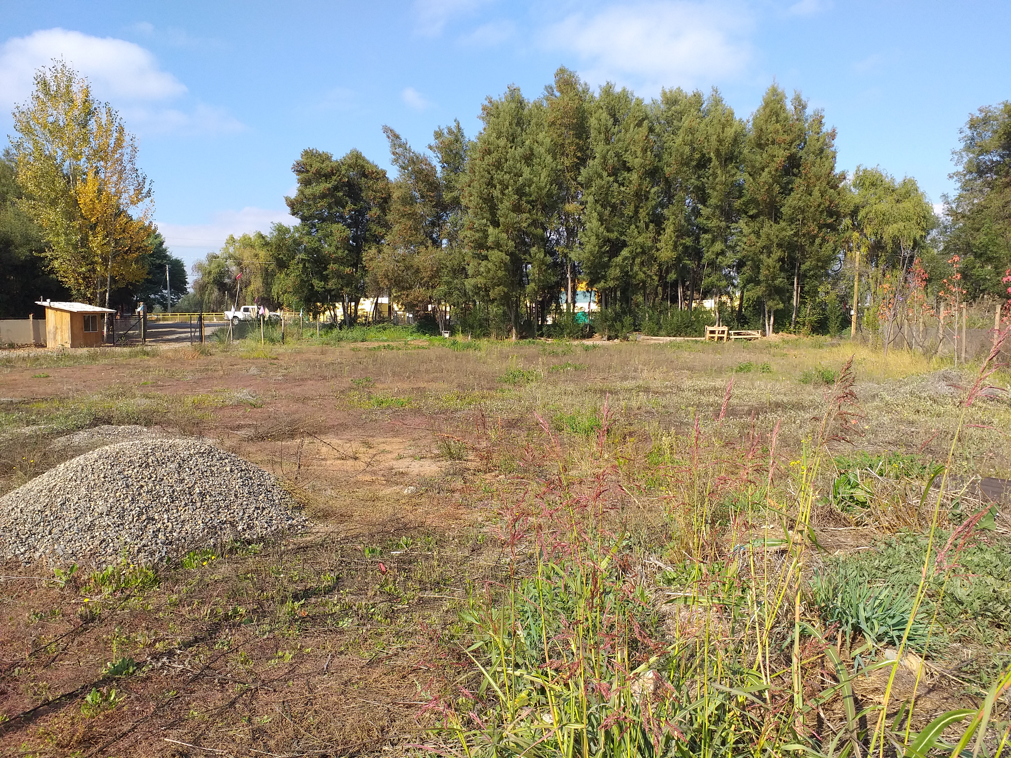 foto Terreno 5.000 M2. 28