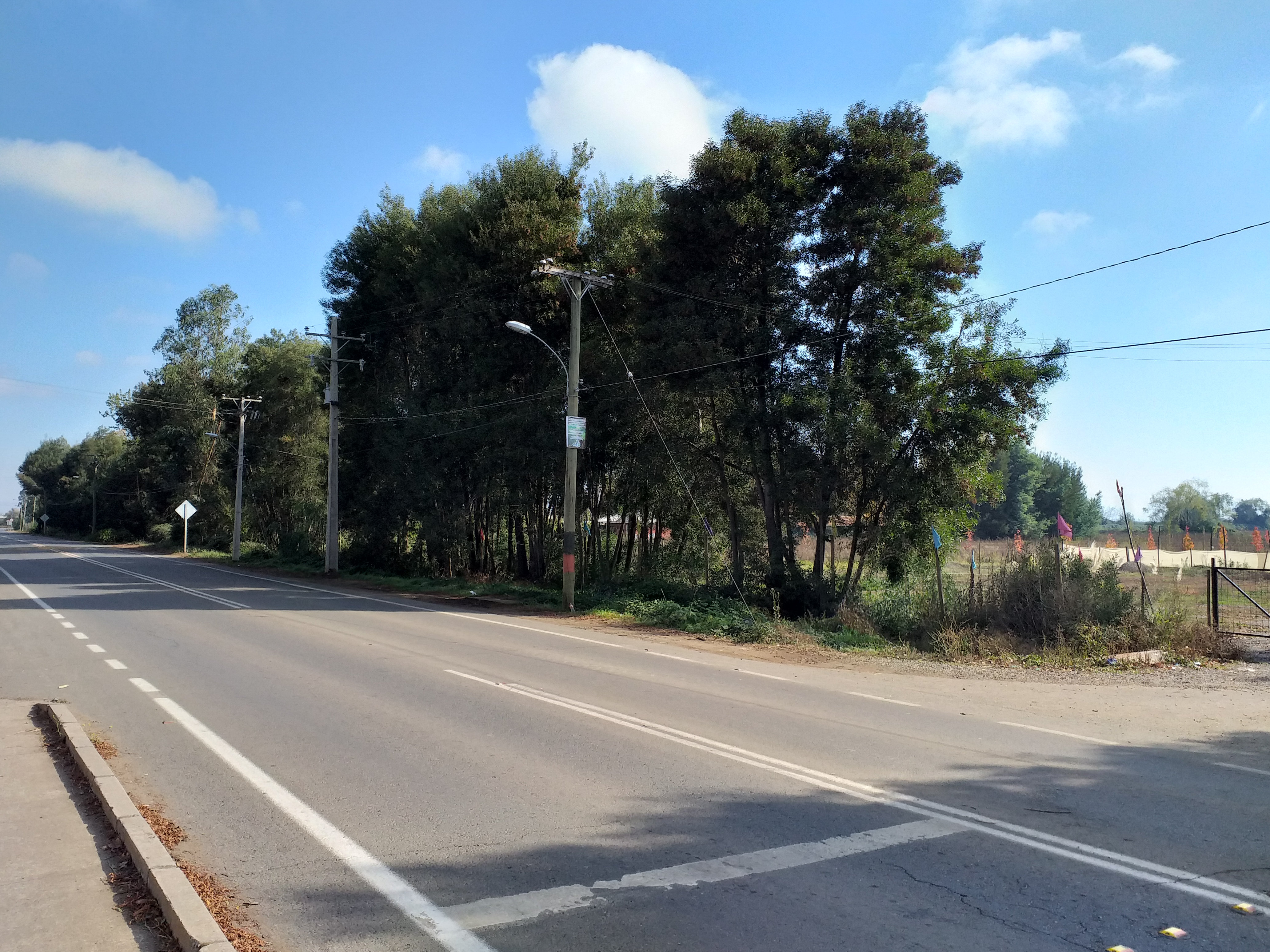 foto Terreno 5.000 M2. 10