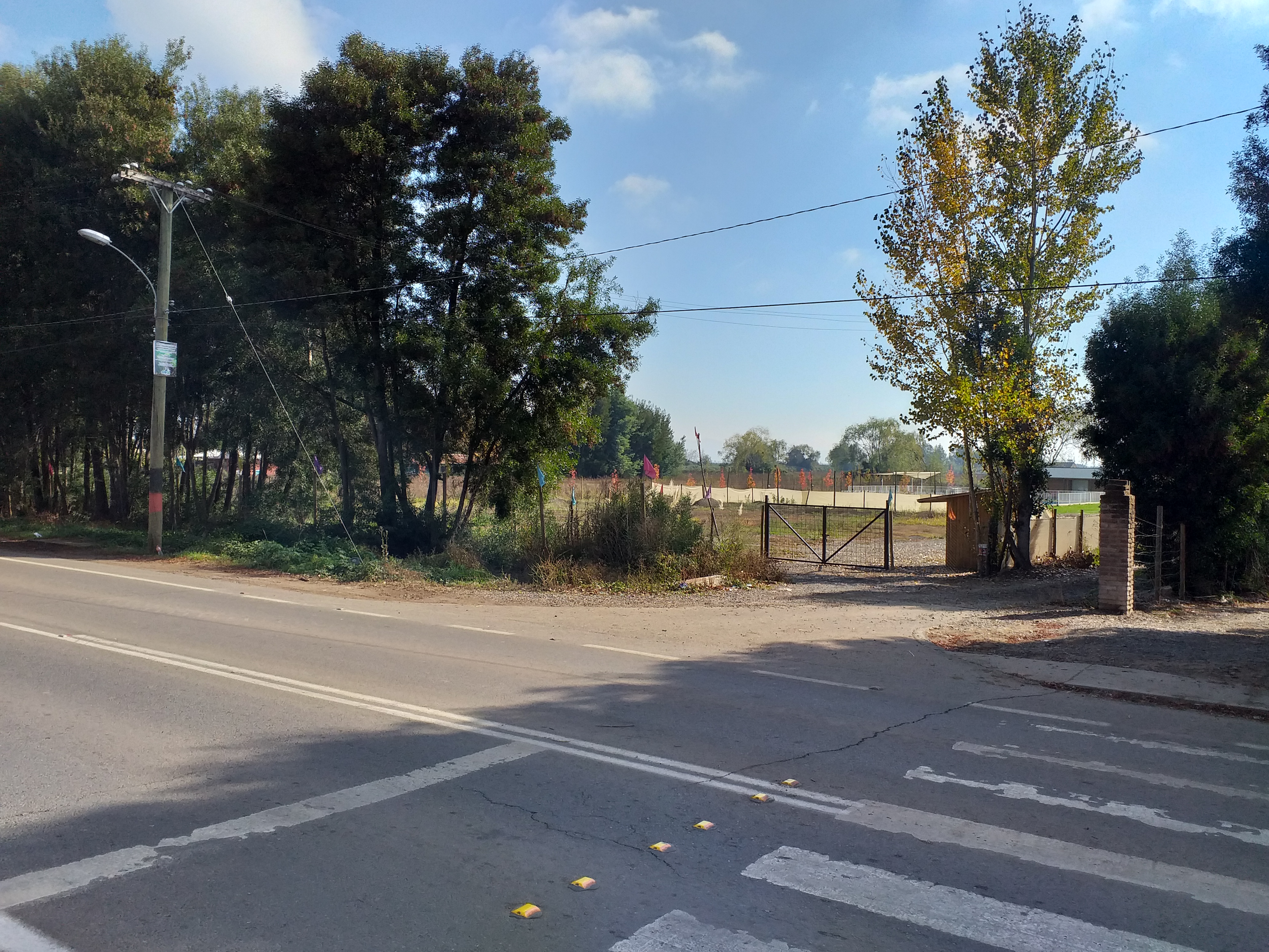 foto Terreno 5.000 M2. 11