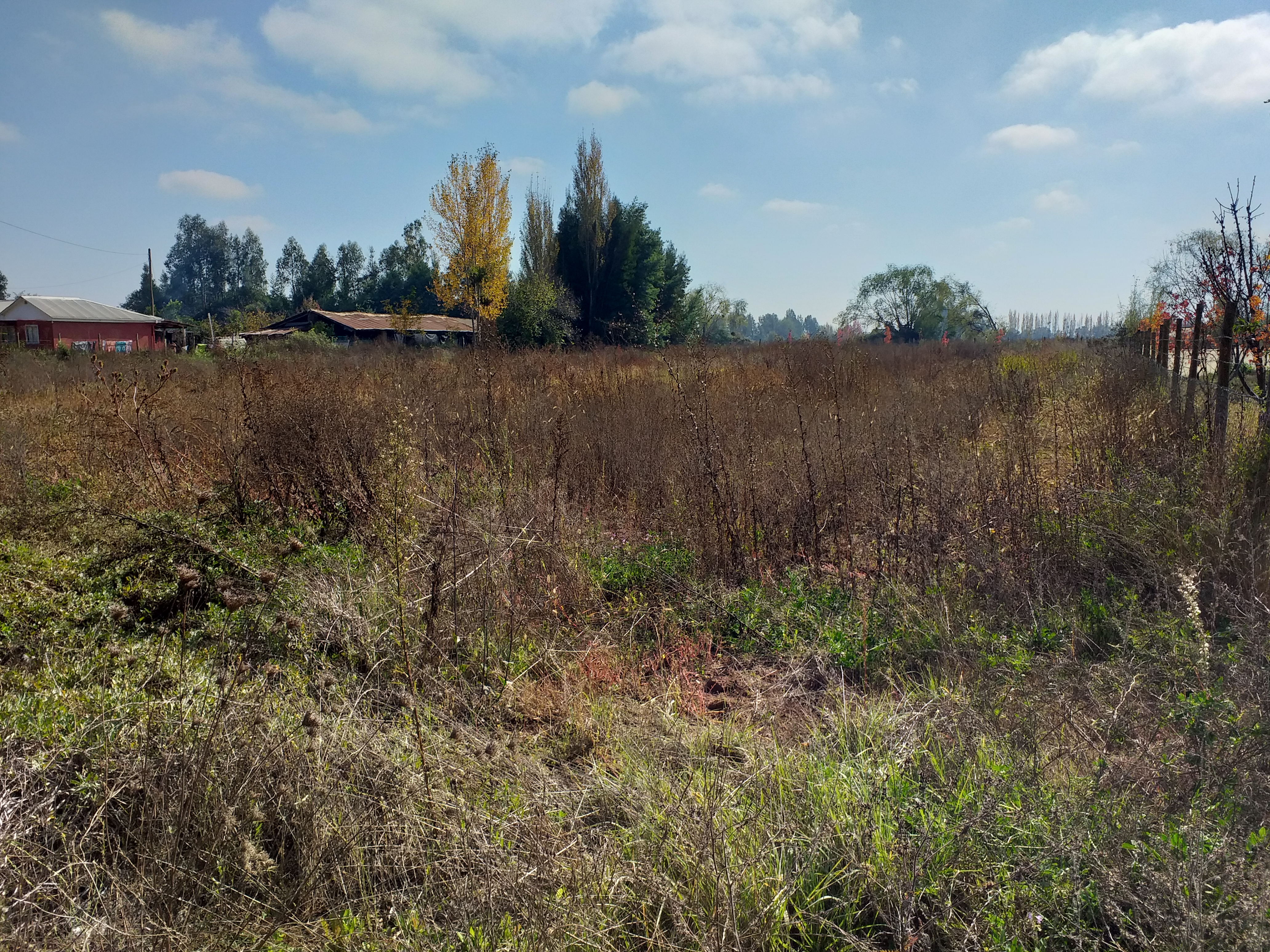 foto Terreno 5.000 M2. 22