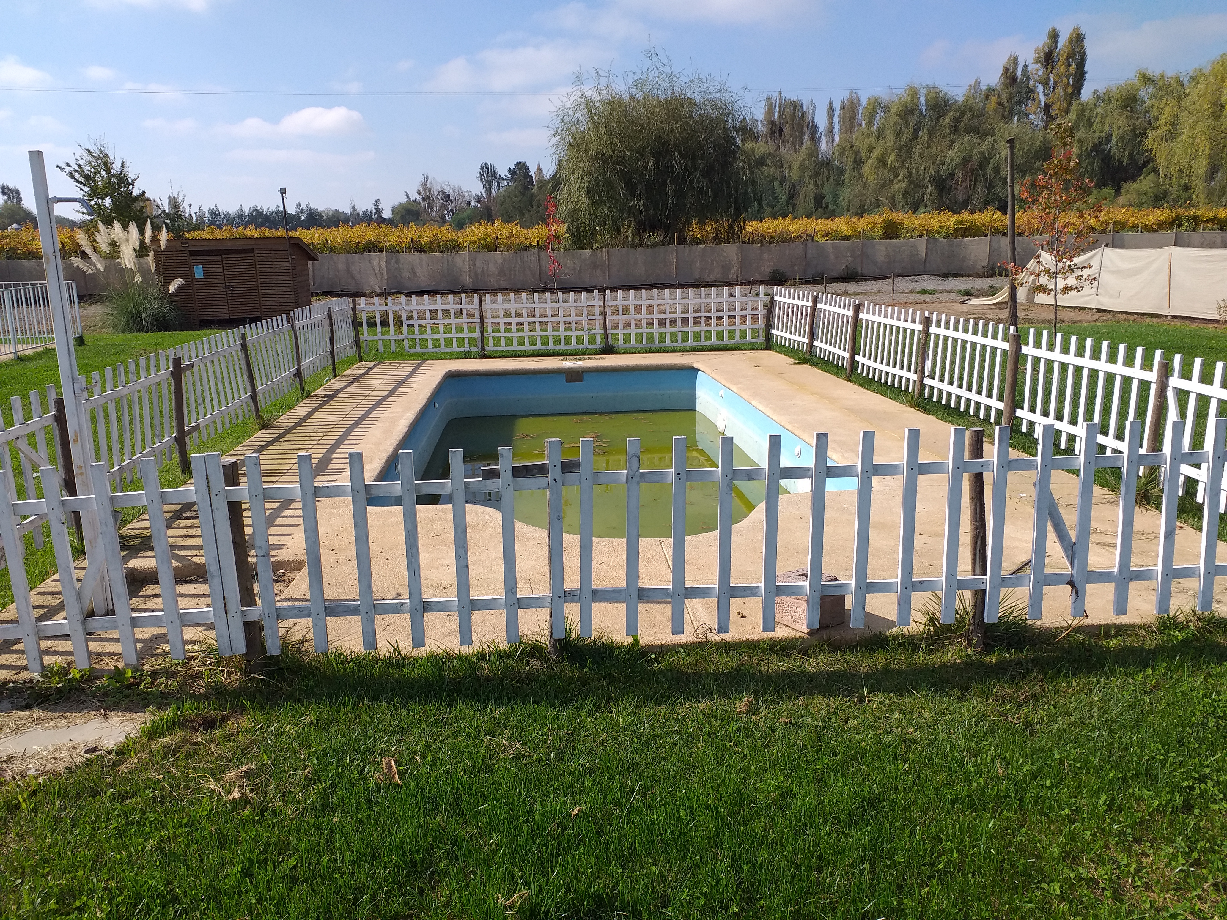 foto Terreno 5.000 M2. 25