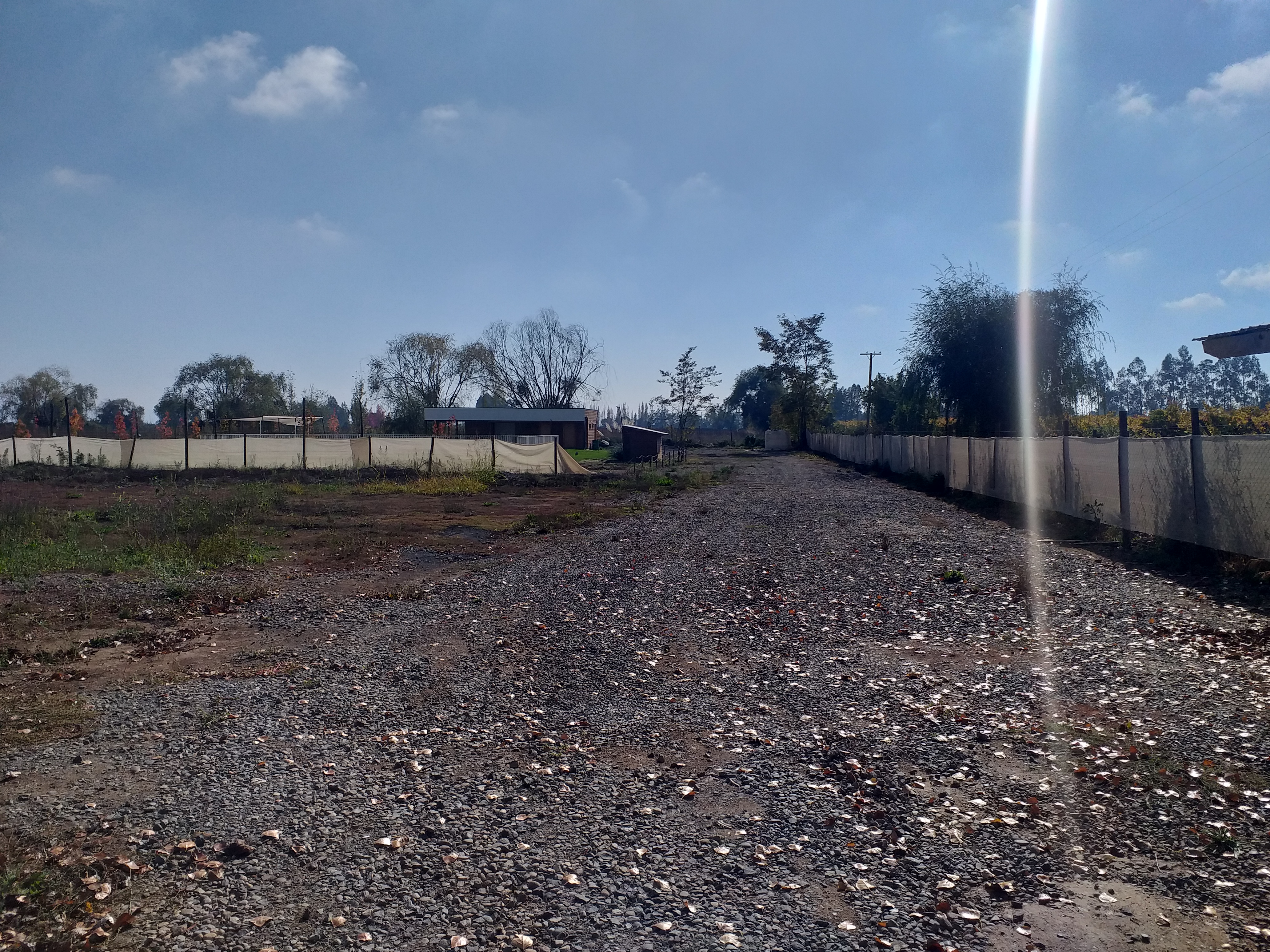 foto Terreno 5.000 M2. 16