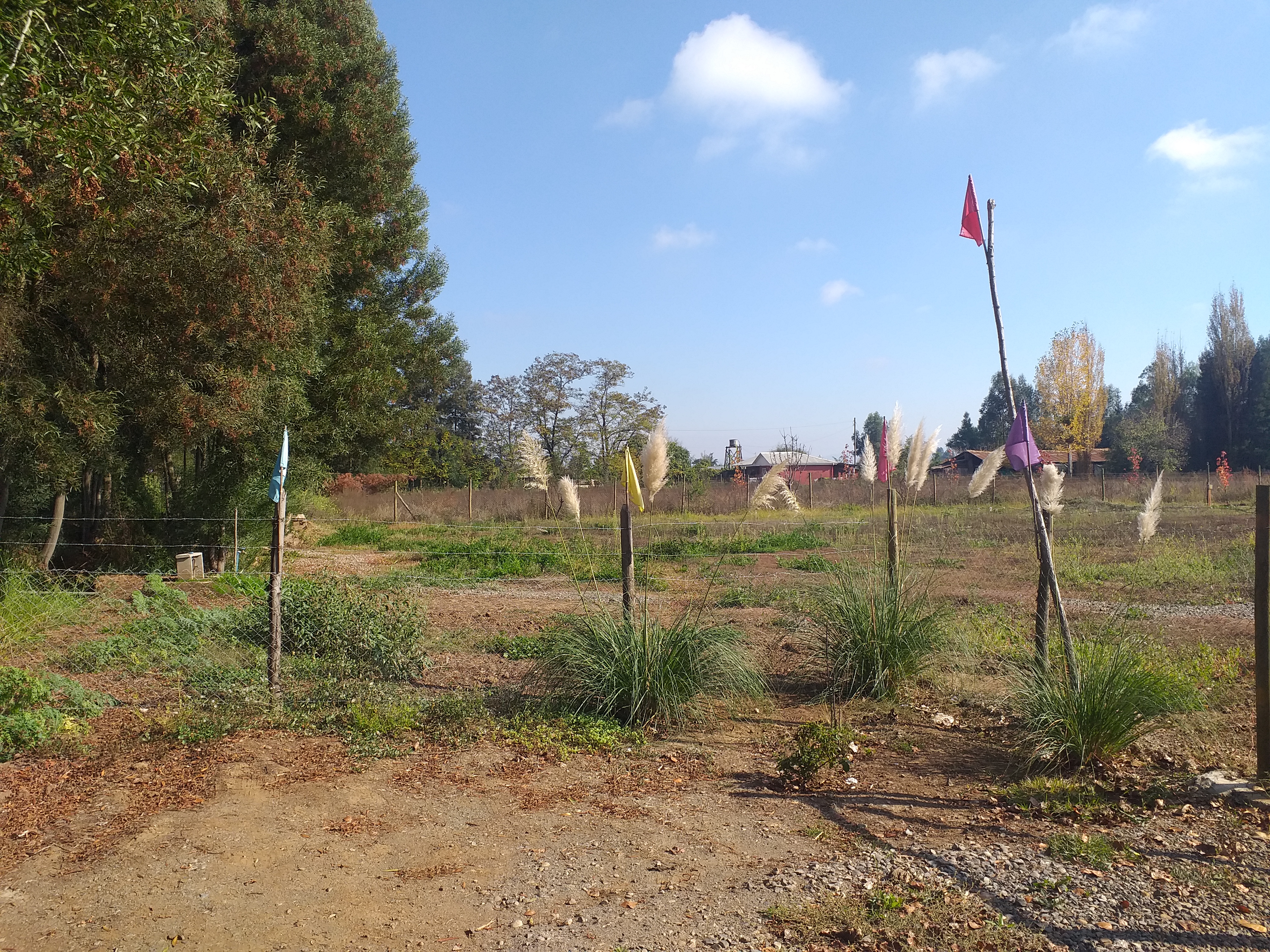foto Terreno 5.000 M2. 26