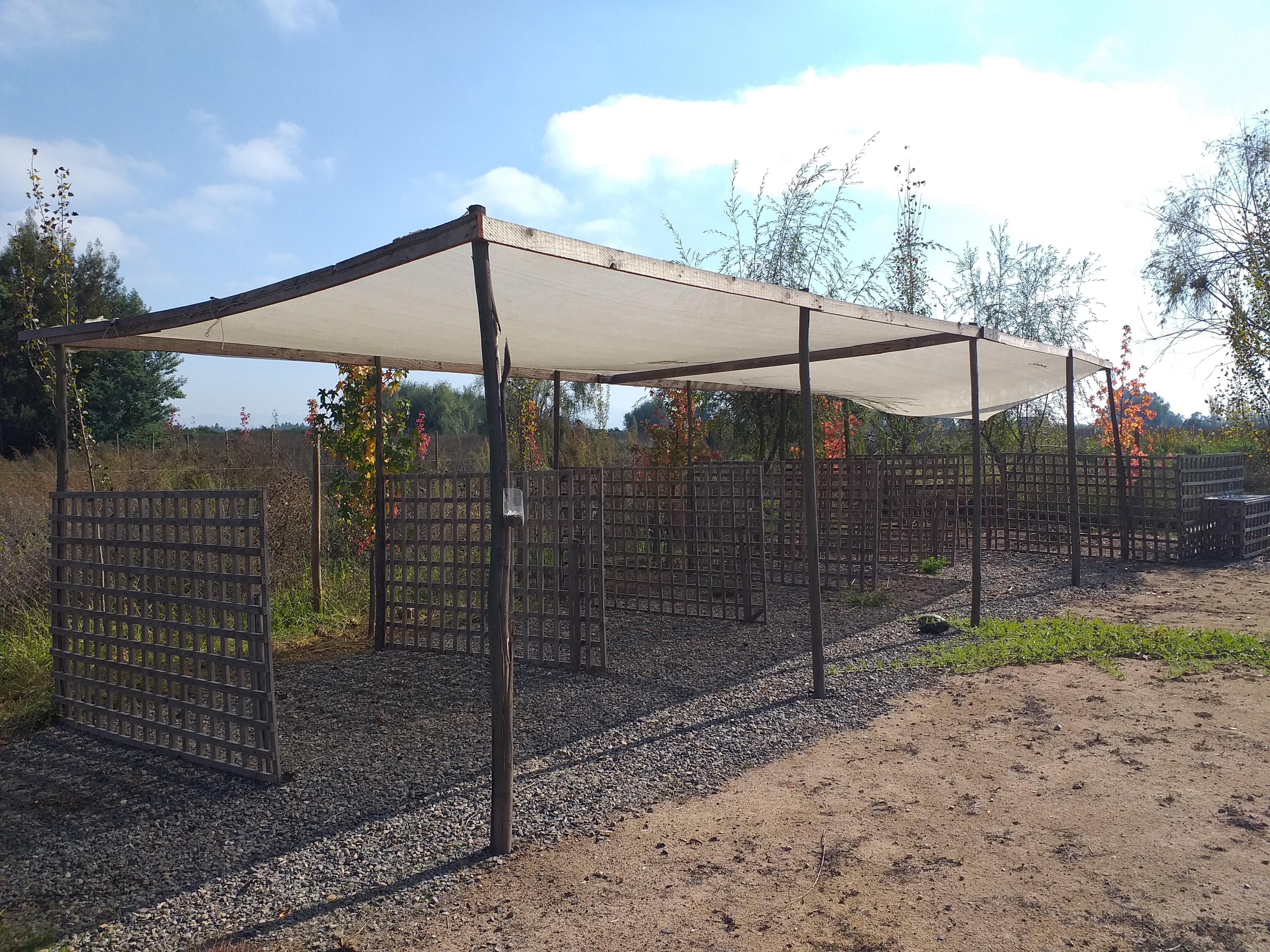 foto Terreno 5.000 M2. 21