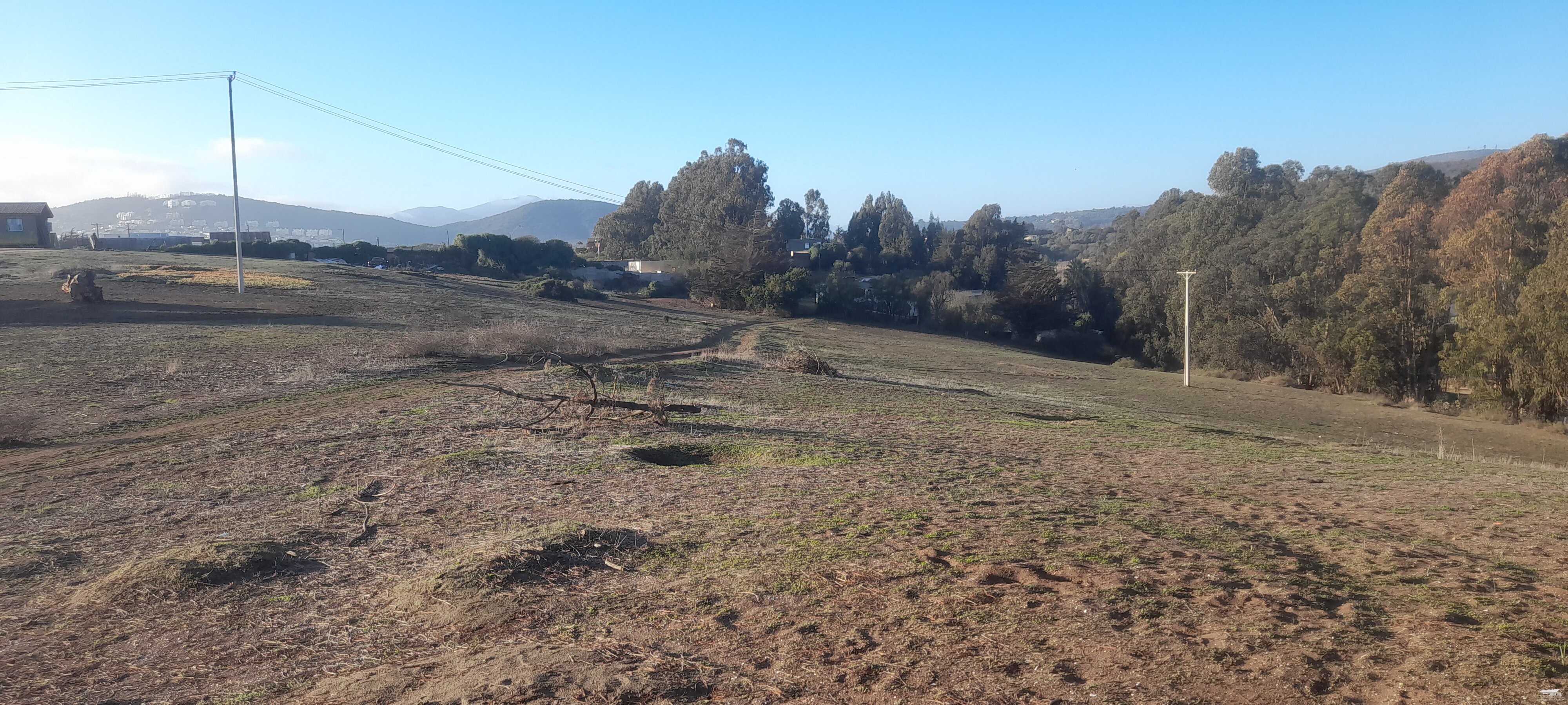 foto Venta Terreno 3 hectáreas. 6