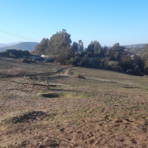 Venta Terreno 3 hectáreas.