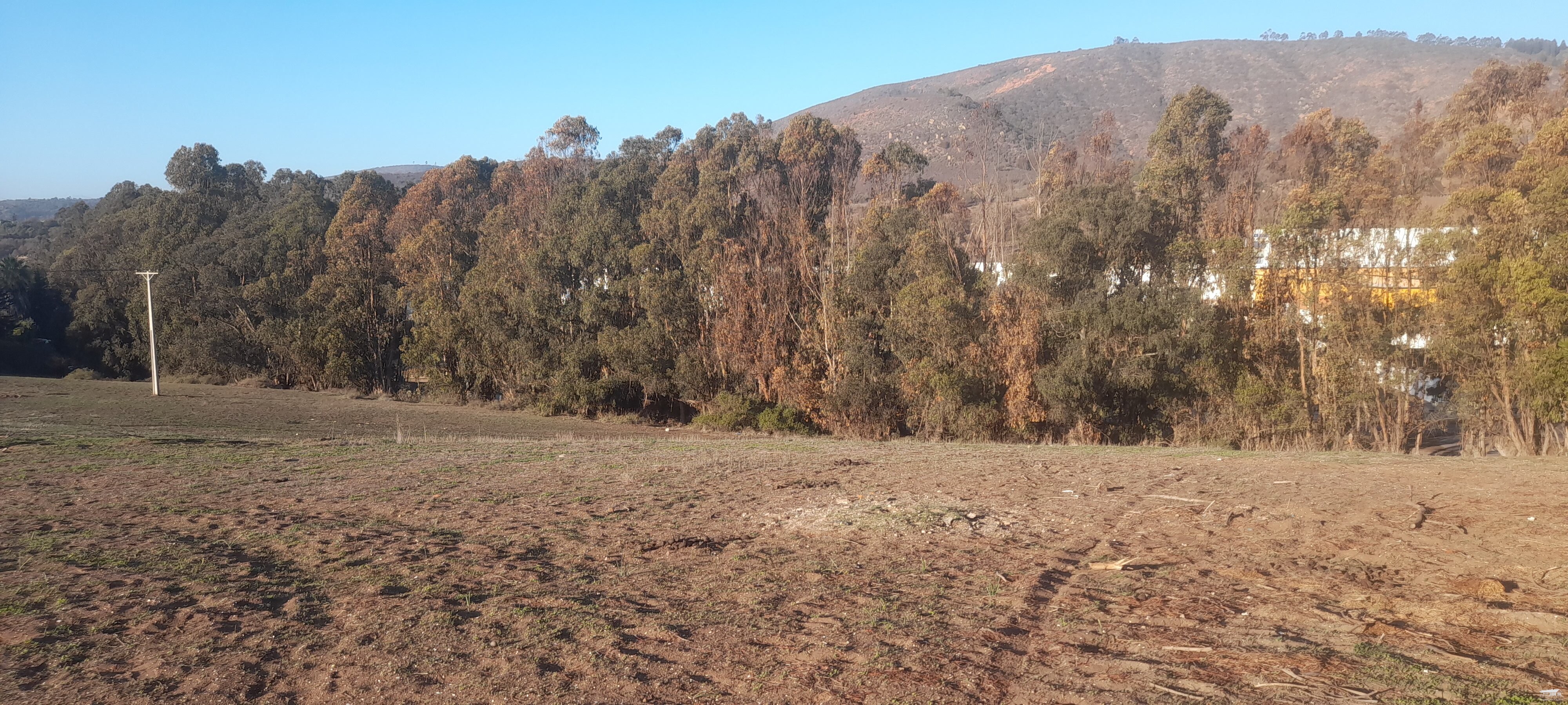 foto Venta Terreno 3 hectáreas. 7