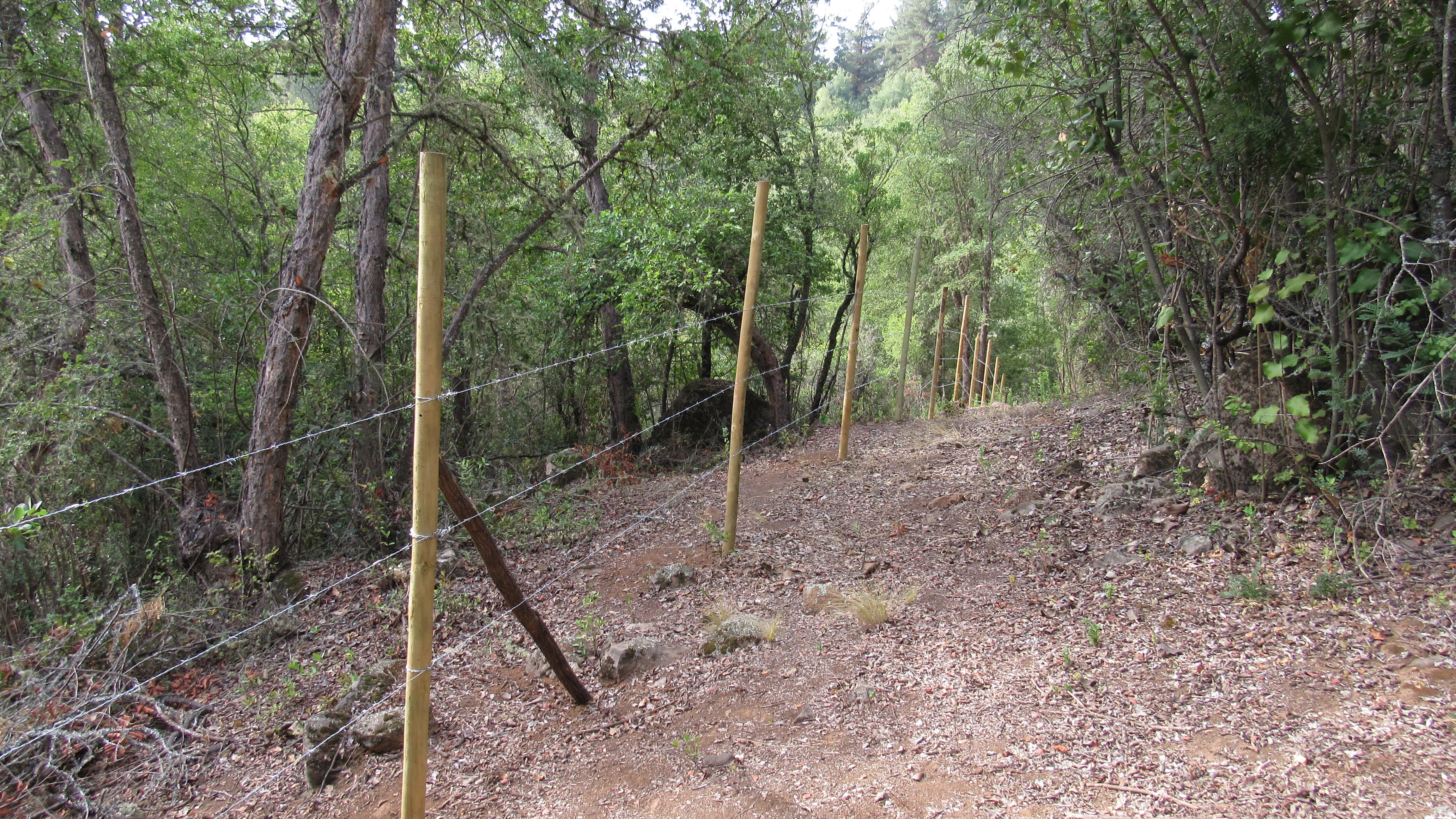 foto Parcela 8.75 hectáreas. 22