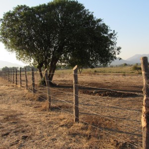 Parcelas de Agrados