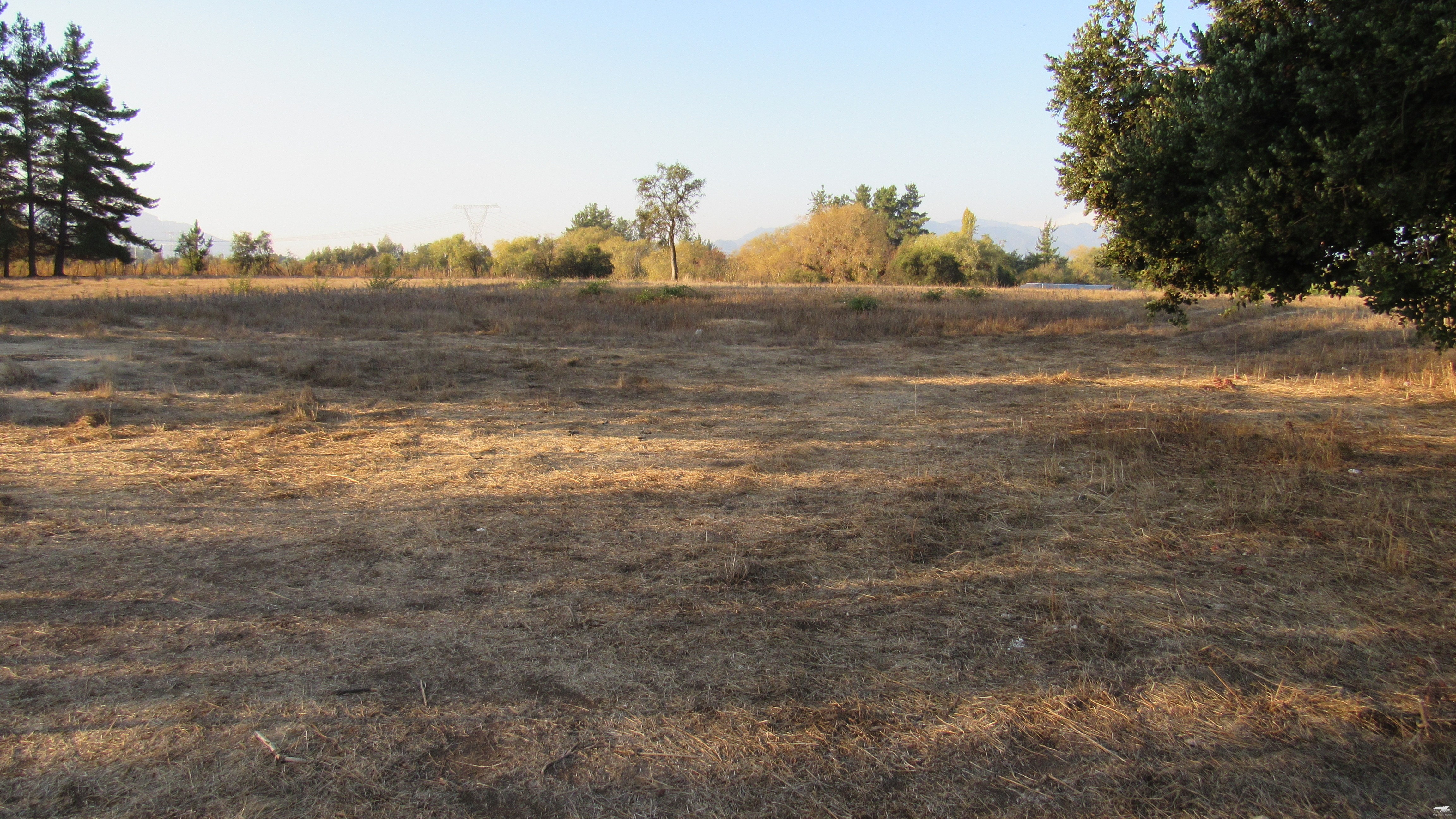 foto Terreno 5.000 M2. 5