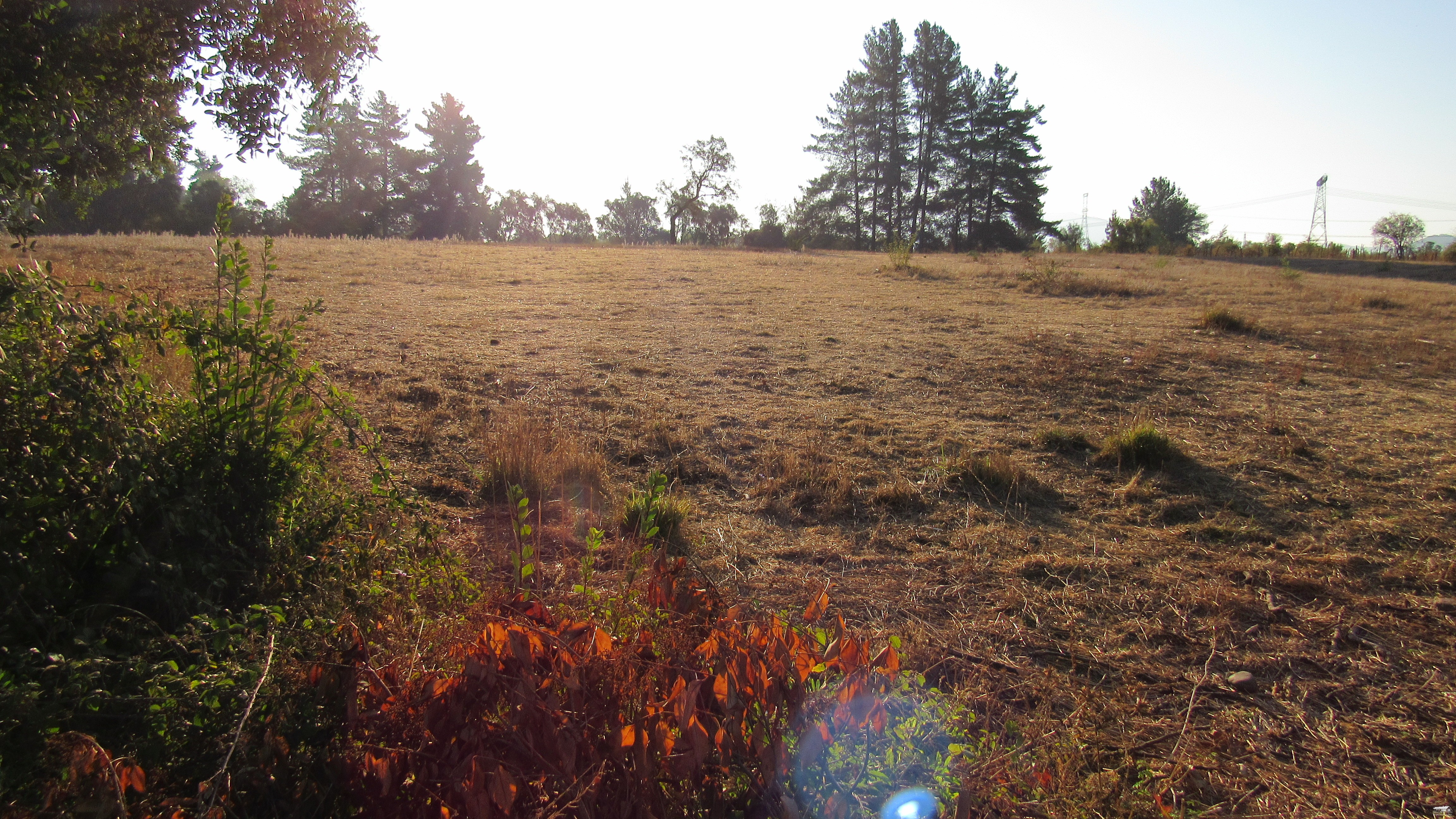 foto Terreno 5.000 M2. 6