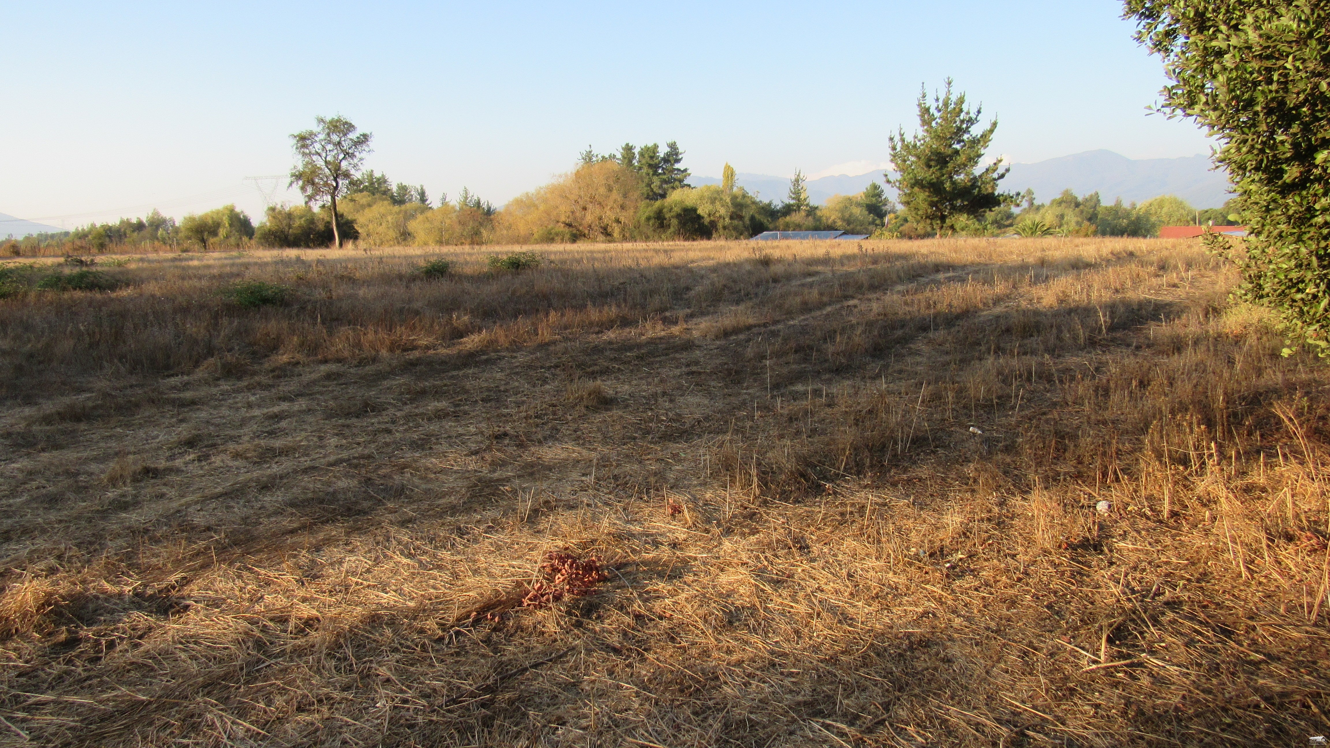 foto Terreno 5.000 M2. 7