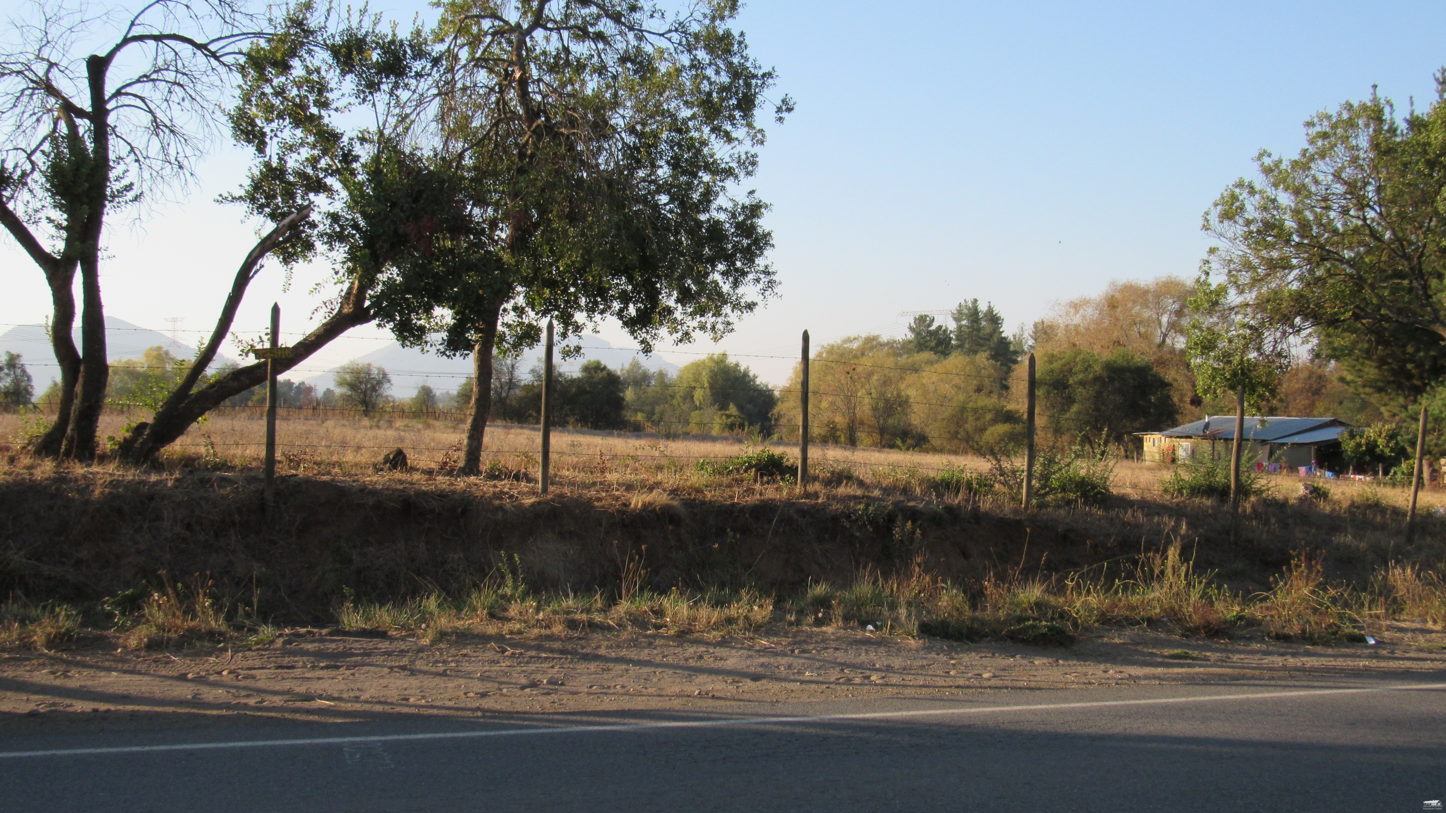 foto Terreno 5.000 M2. 3